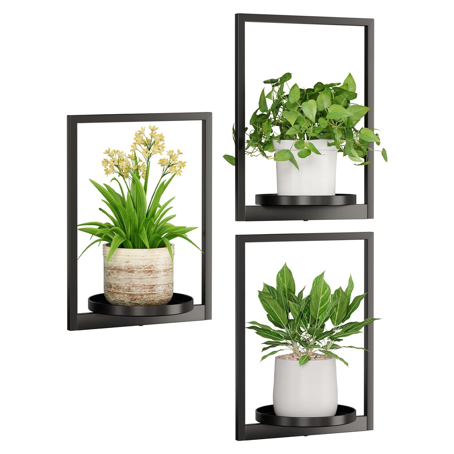 Qiaogreen Hanging Planters for Indoor Plants - Aesthetic Photo Frame Style Wall Plant Holder - Metal Window Plant Shelves, Wall Plant Hanger for Lingving Room Home Gardening Wall Decor (3-Pack)