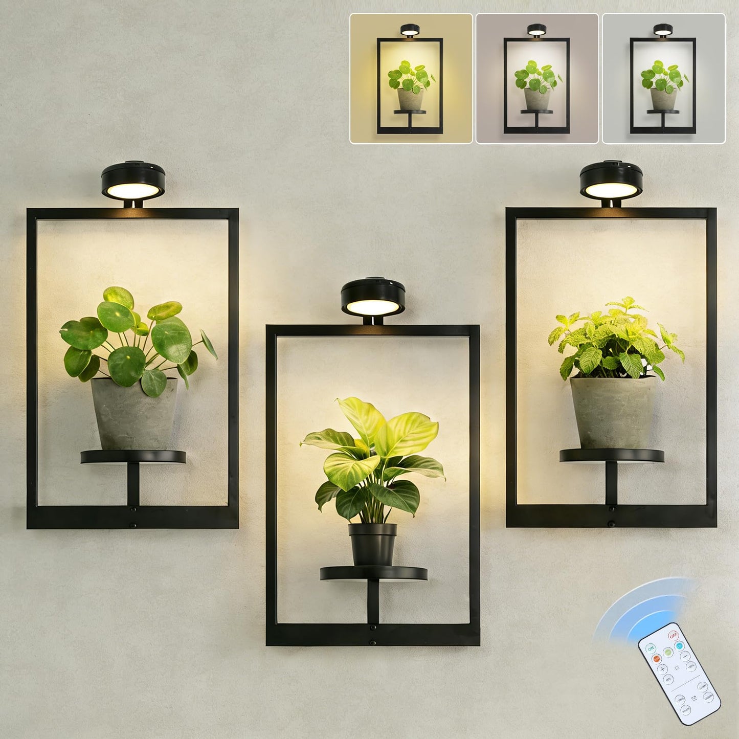 Wall Planters for Indoor Plants，Wall Plant Holder with ‌Remote-Controlled Lights，Hanging Planters for Indoor Plants Window Plant Shelves 3 Pack Plant Hanger for Living Room Entryway（Bulbs Included）