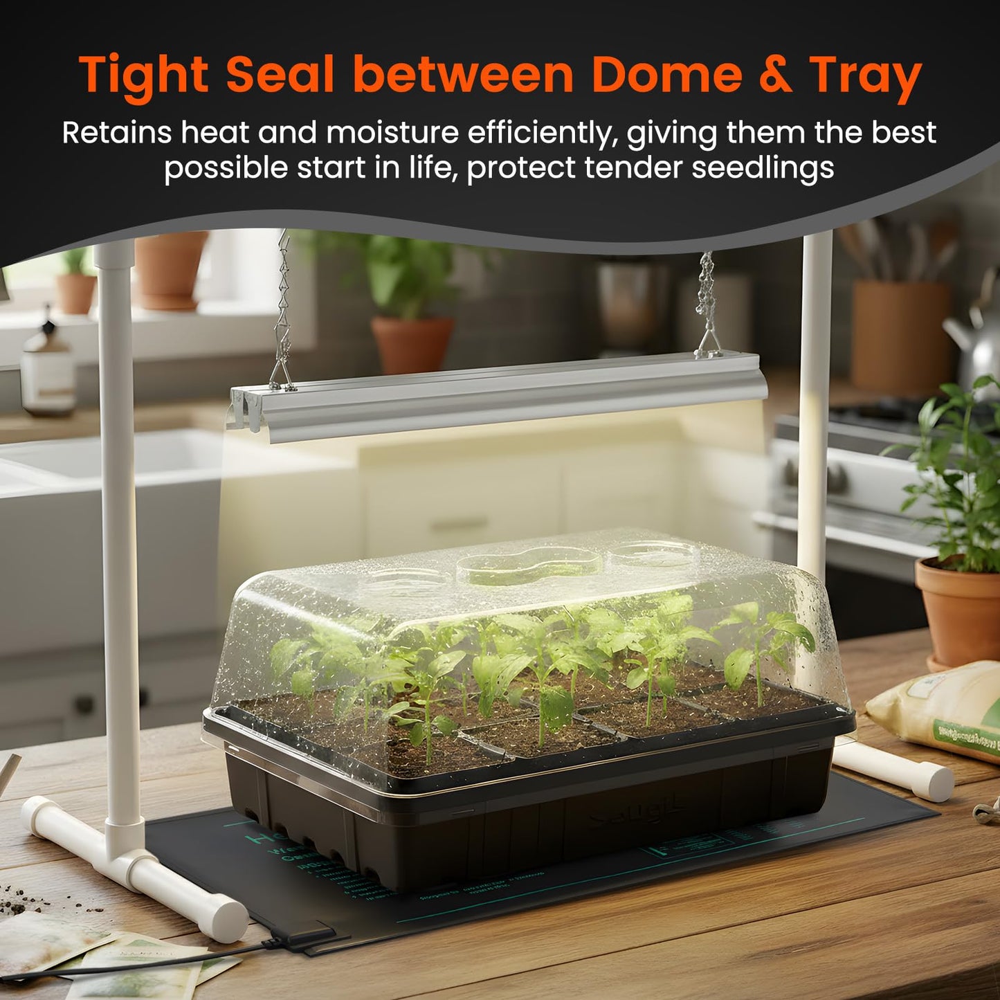 SOLIGT [Thick Plastic] 3-Set Strong Seed Starter Trays with 5" Humidity Domes for Seed Starting, Germination, Seedling Propagation & Plant Growing, Holds 144 Cells in Total