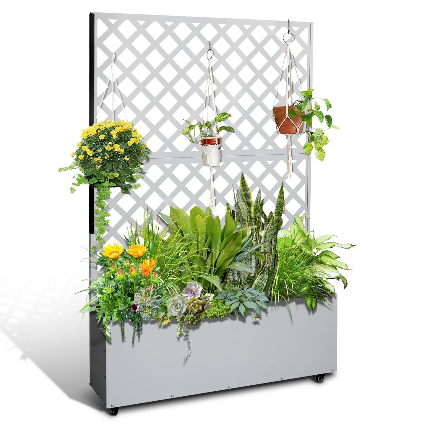 Metal Planter Box with Trellis Privacy Screen, Raised Garden Bed with Trellis & Wheels, Privacy Planters for Patio, Planter Box with Drainage Holes for Climbing Plants, Flower, 73"x 47"x 12", White