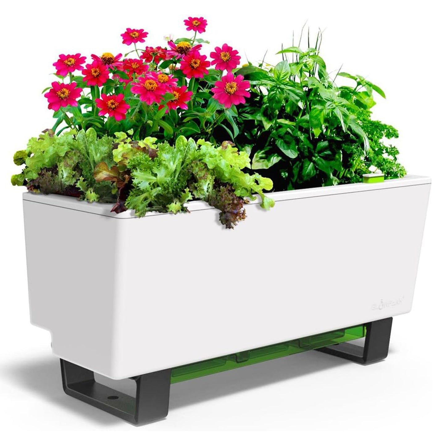 Glowpear Self-Watering Mini Bench Planter - 23.6" in Pot, Free Standing, UV Stable, Scalable, Indoor | Outdoor Pot with Water Gauge, for Home Kitchen Windowsill Gardening
