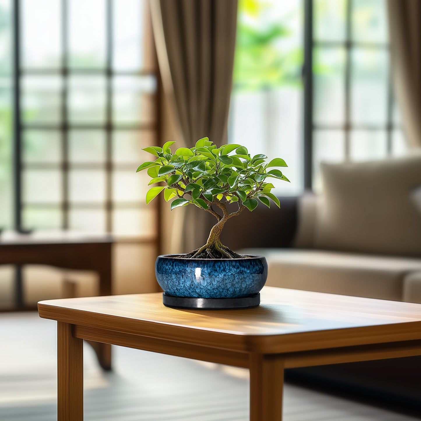 EPFamily Succulent Pots - 6 Inch Ceramic Bonsai Pots with Drainage Hole and Saucer, Shallow Planter for Indoor Outdoor, Round Succulent Planter, Cactus Pot, Office Decor, Gifts for Plant Lovers, Blue