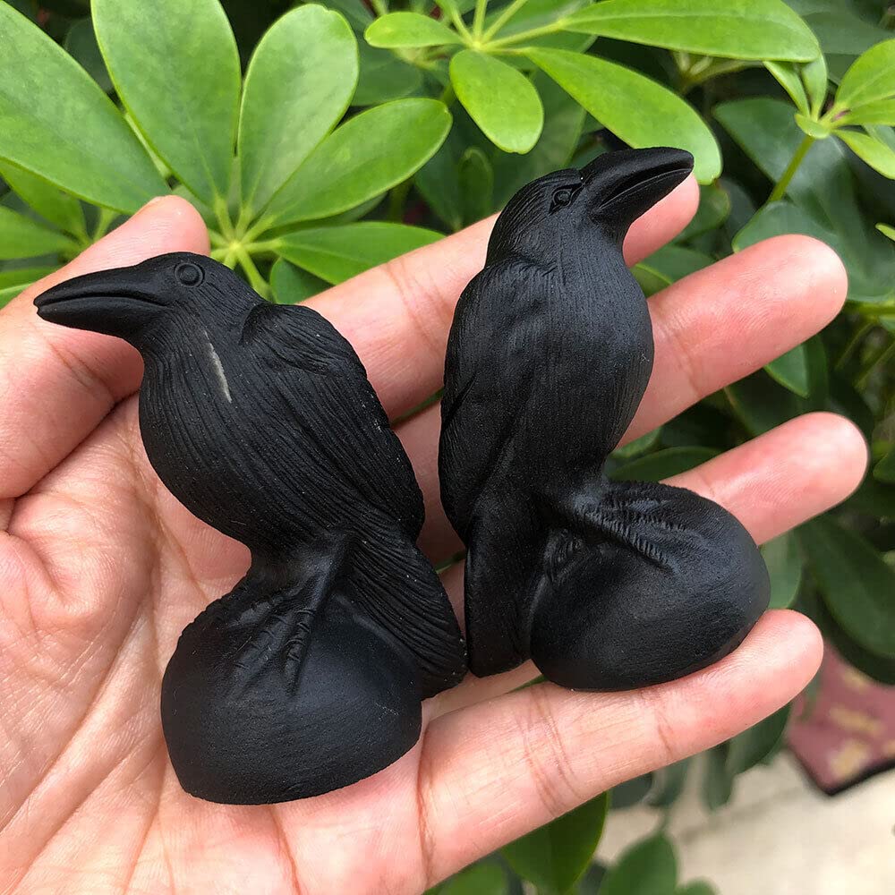 TEAMWILL 1pc Natural Black Obsidian Crow Skull Quartz Crystal Carved Skull Figurines Healing 2.76"