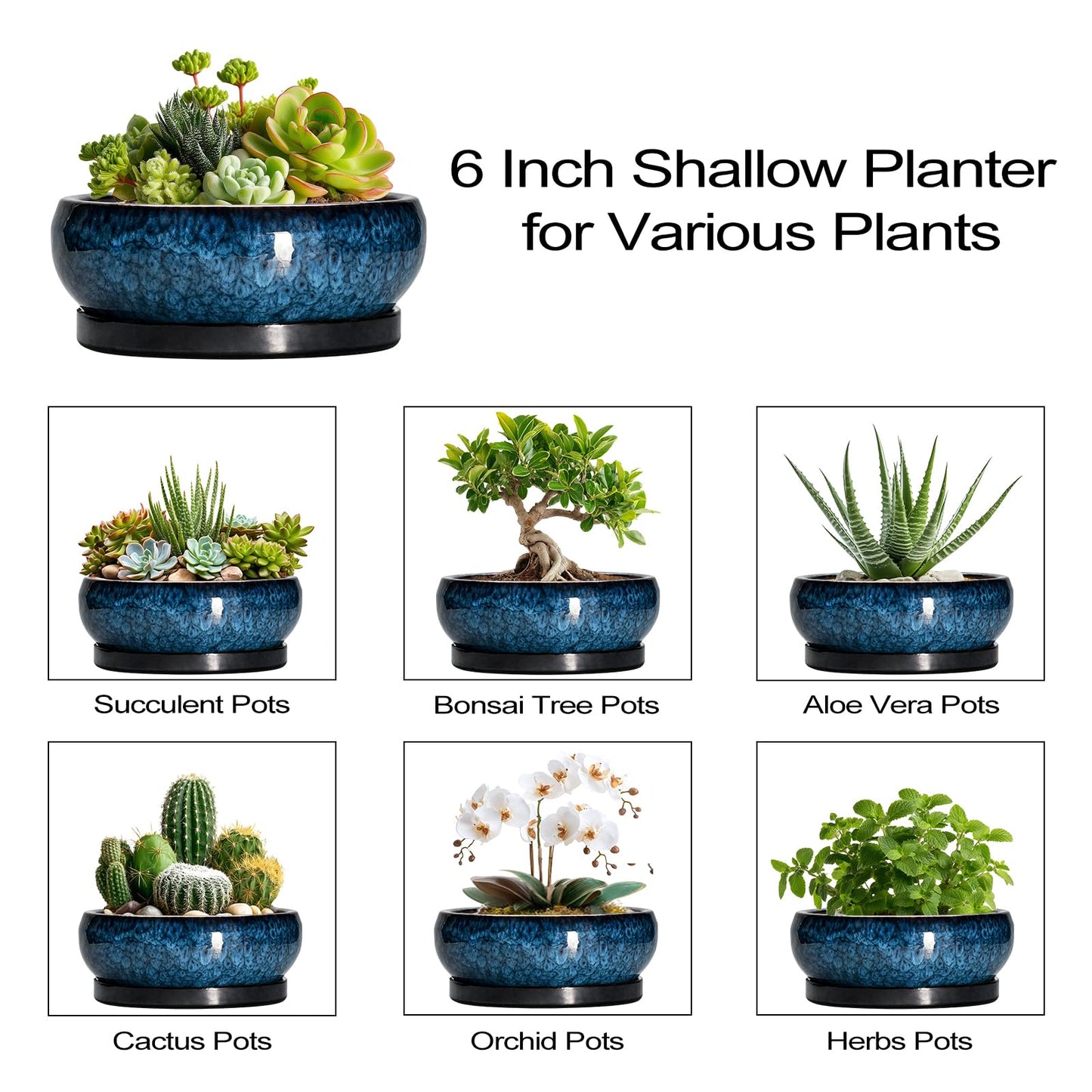 EPFamily Succulent Pots - 6 Inch Ceramic Bonsai Pots with Drainage Hole and Saucer, Shallow Planter for Indoor Outdoor, Round Succulent Planter, Cactus Pot, Office Decor, Gifts for Plant Lovers, Blue