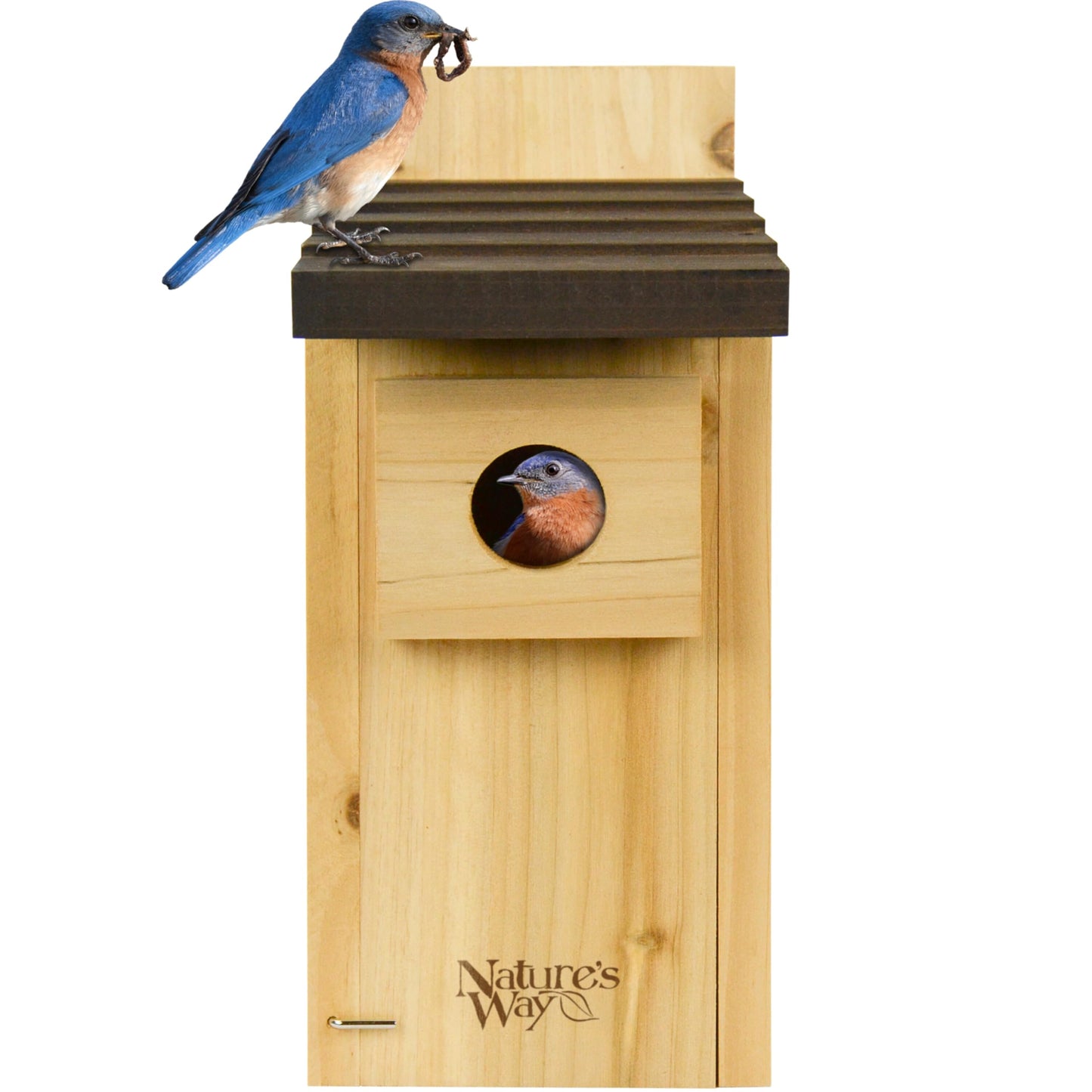 Nature’s Way Cedar Bluebird & Cavity Nesting House, Predator Guard, Ventilated Design & Easy Access Clean-Out Panel, Natural Wood