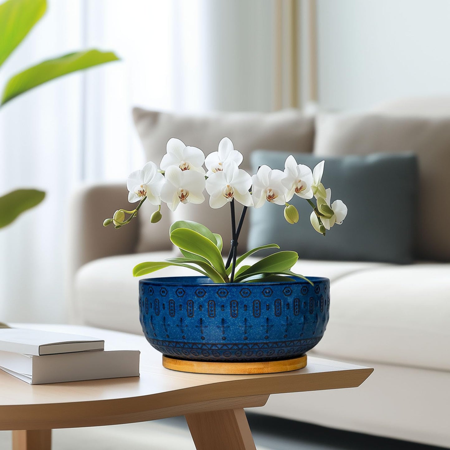 Fivepot Bonsai Pots - 8 Inch Ceramic Succulent Pots with Drainage Hole and Saucer, Planters for Indoor Plants, Modern Round Decorative Flower Planter, Home Decor, Housewarming Gifts, Blue