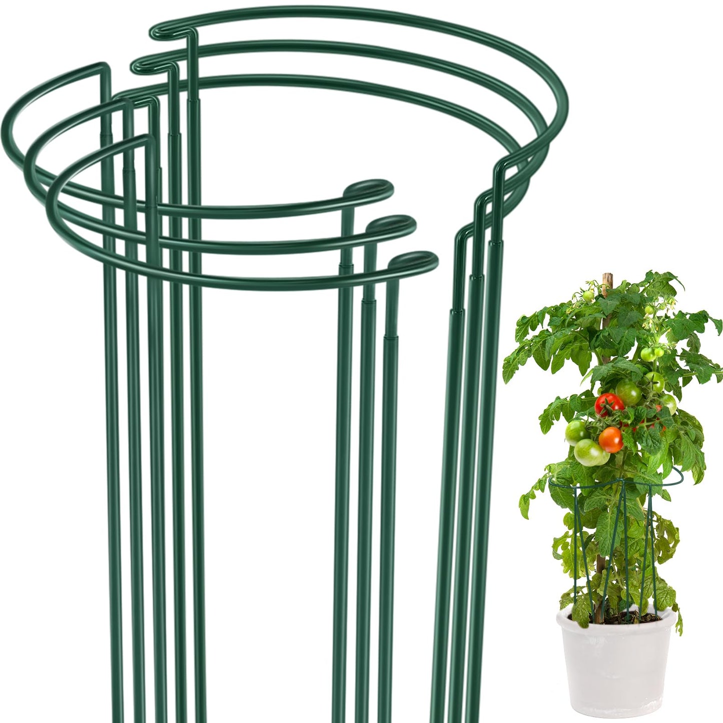 Tioncy 6 Pcs 48 H x 15.8 W Plant Support Stakes Cages for Garden, Metal Half Round Plants Tension Rods for Indoor Outdoor Large Tall Flower Vegetables Tomato Peony Rose Support
