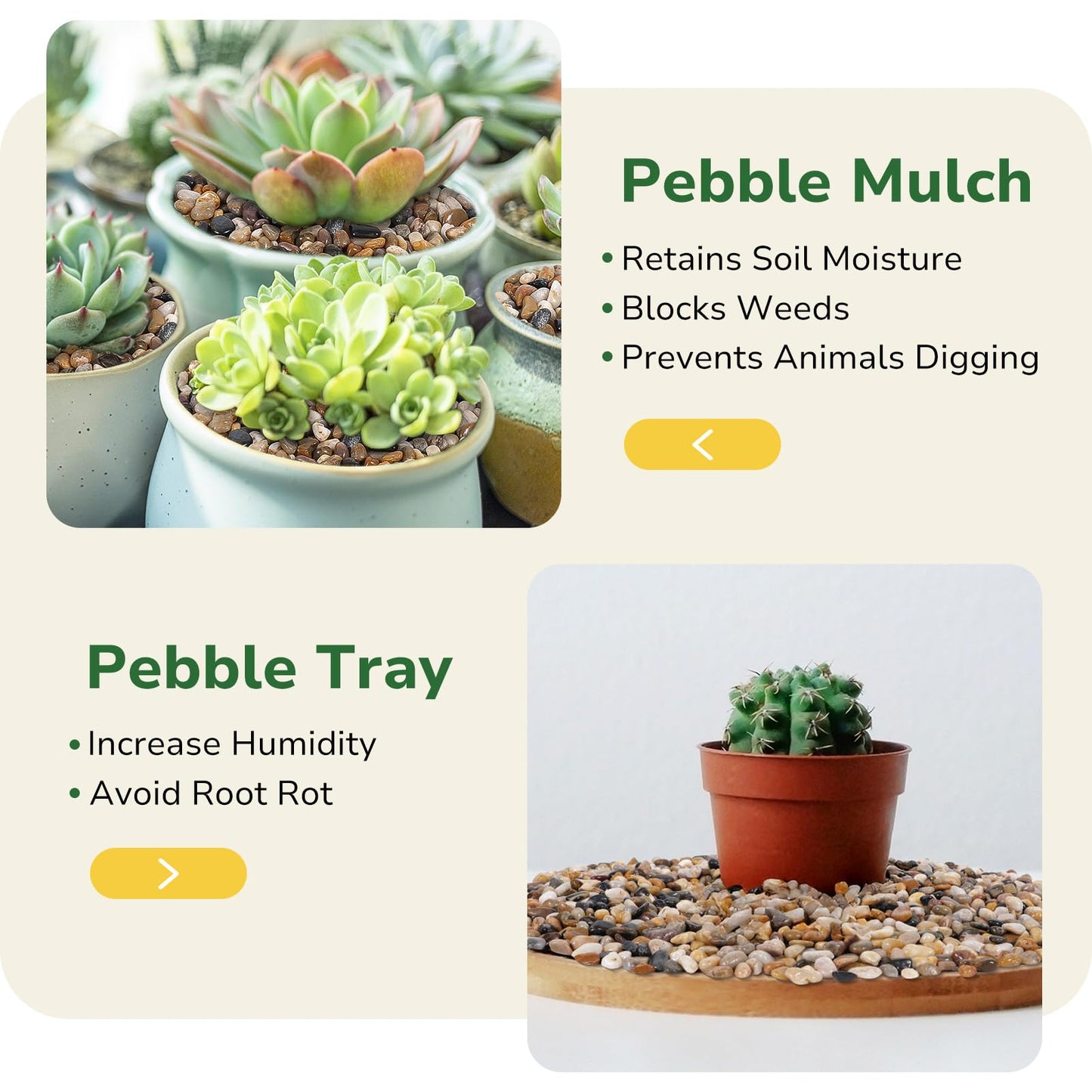 GreatBuddy 5-lb Pebbles for Indoor Plants, 3/8" Pea Gravel for Vases, Small Rocks for Succulents, Fish Tanks, Aquariums, Terrarium, Drainage Pebbles for Potted Plants, River Rocks for Landscaping