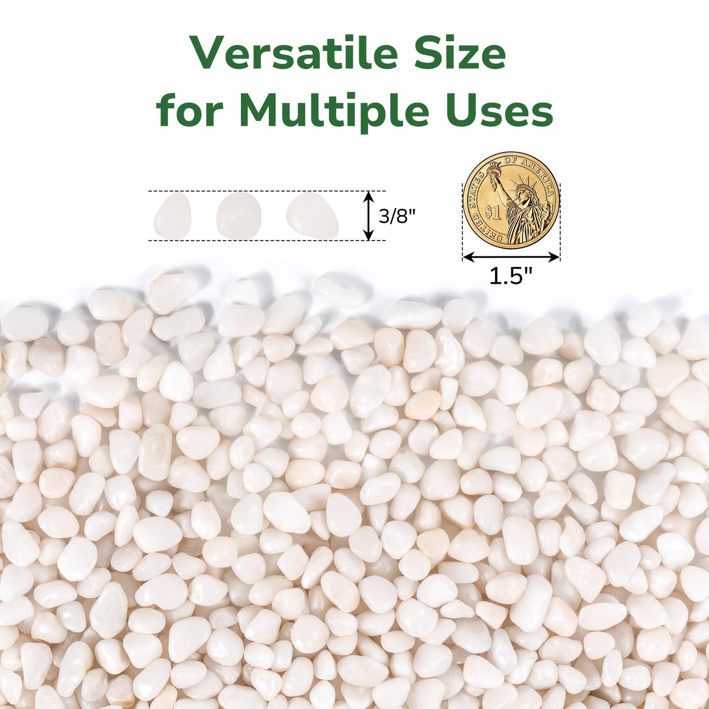 GreatBuddy 10-lb Decorative Rocks for Indoor Plants, 3/8" White Pebbles, Small Rocks for Potted Plants, Succulent, Vases, Aquariums, Fish Tanks, Garden Landscaping, Natural Polished
