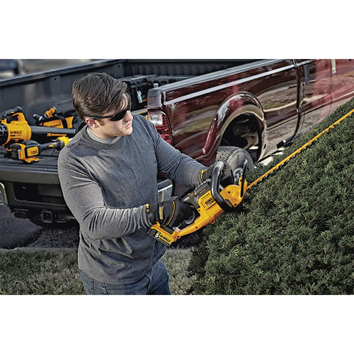 DEWALT 20V MAX* Cordless Hedge Trimmer, 5.0 Ah, 22-Inch (DCHT820P1)