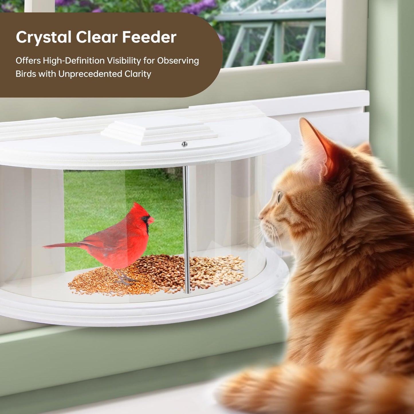 JOYSEUS Window Bird Feeder, 180° Clear View Bird Feeder, Durable and Elegant in-Window Bird Feeder for Watching Birds - Embrace The Delight of Bird Feeder.