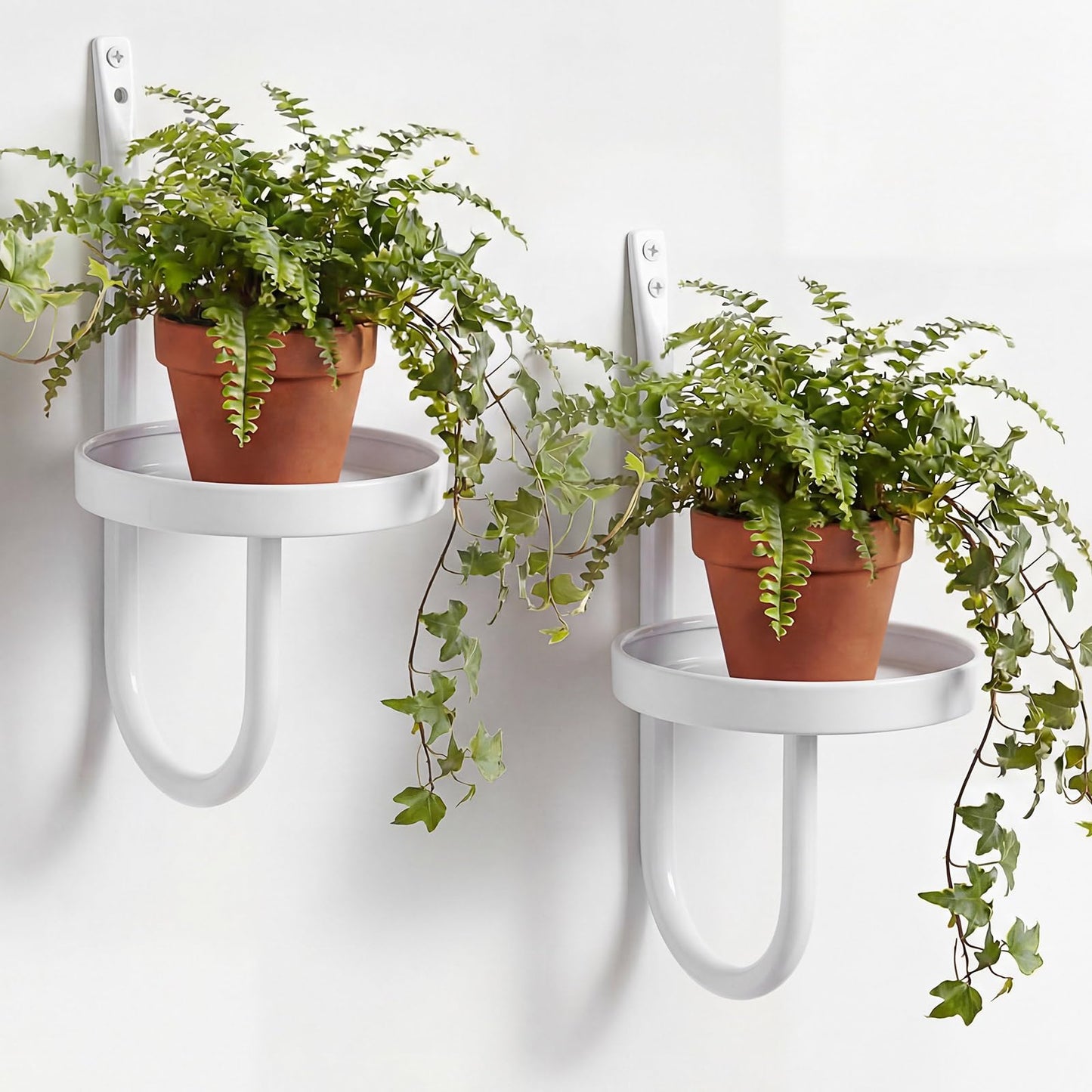 Otoolling 2 Pcs Hanging Planters for Indoor Plants Wall Plant Holder Plant Hanger Wall Planters Shelves Decor for Living Room Bathroom Window (White)