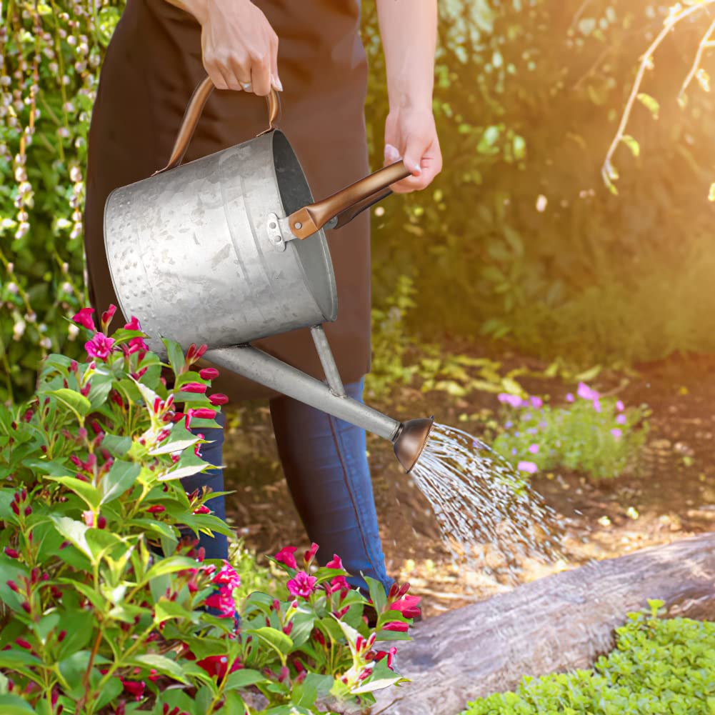Megawodar 1 Gallon Metal Watering Can with Removable Spout, Nice Galvanized Steel Water Can with Embossed Design for Indoor and Outdoor Plants