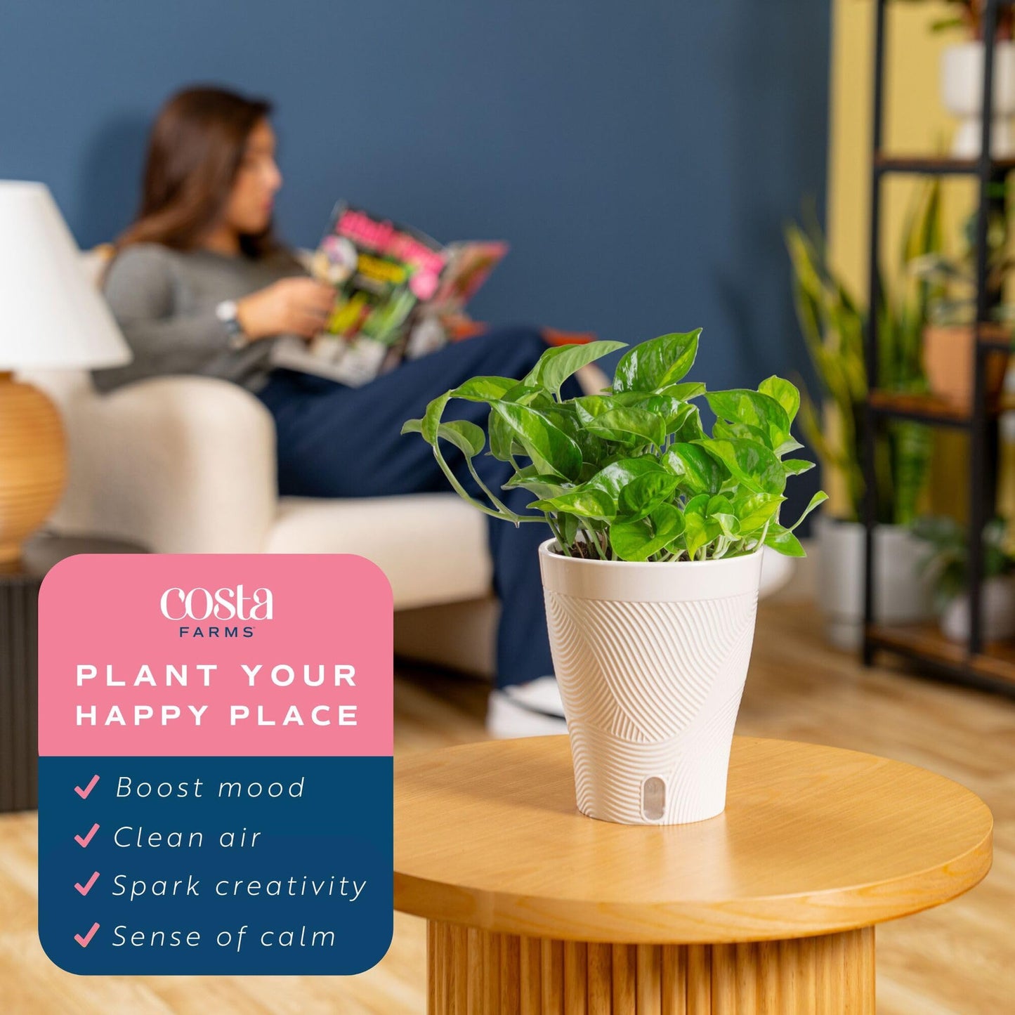 Costa Farms Global Green Pothos Live Plant in Self Watering Pot, Air Purifying Indoor Houseplant, Perfect for Home, Room, or Office Decor, Great House Warming or Birthday Gift, 10-12 Inches Tall