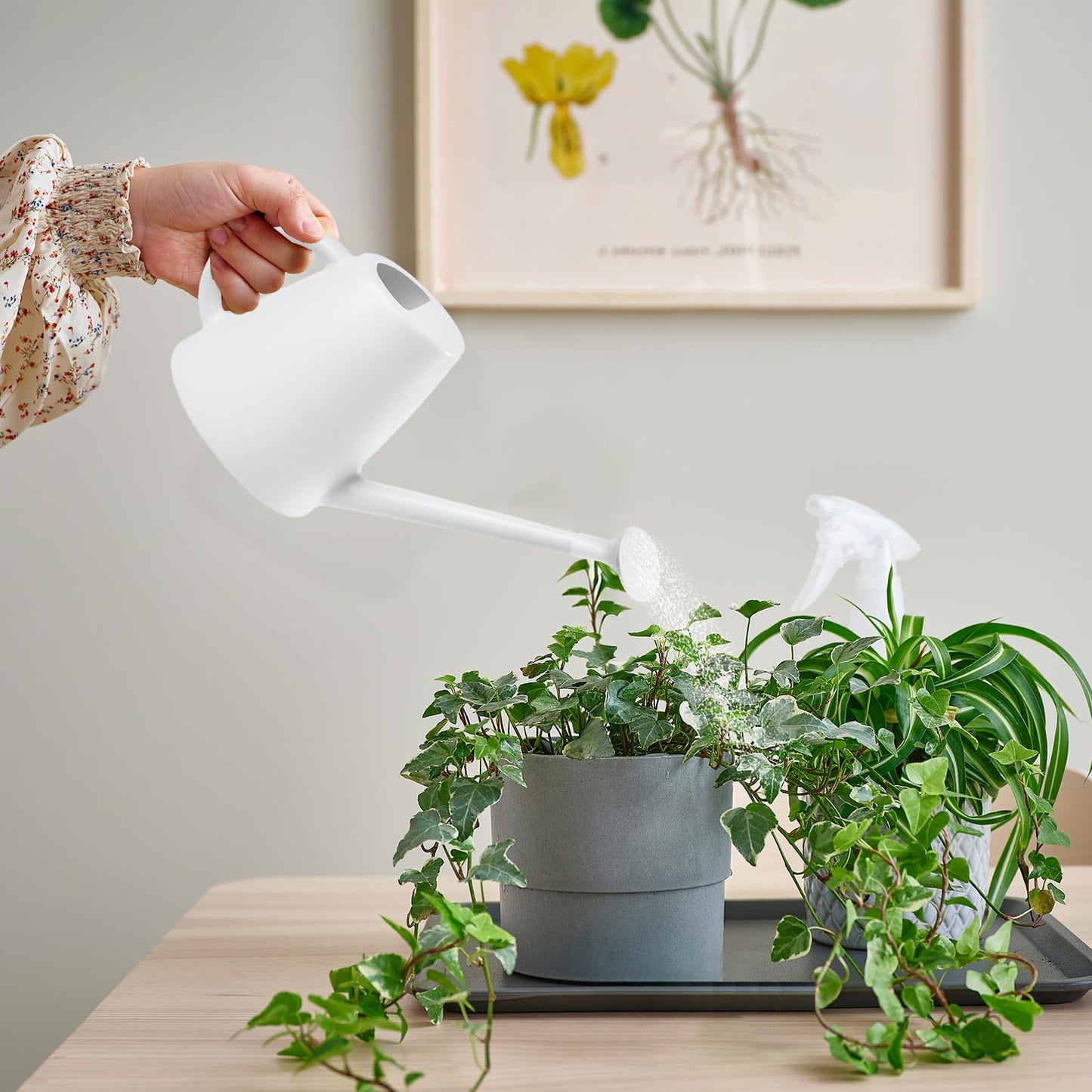 TEIUKAX Indoor and Outdoor Watering Can - Long Spout -1/2 Gallon (64oz) - White