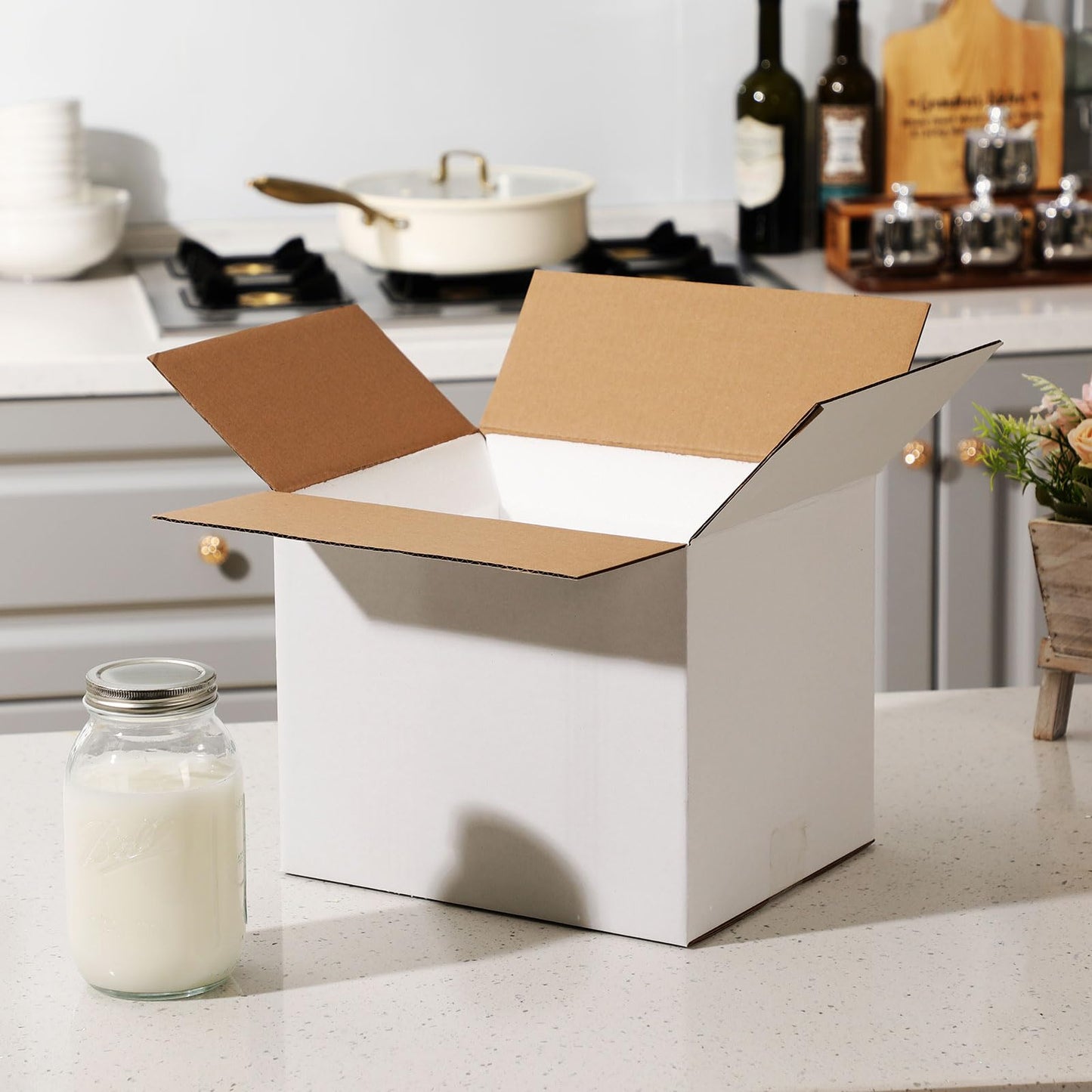 Feifeiya 4 Pack Insulated Shipping Cooler with Foam Panels 11" x 9" x 9" Reusable Shipping Box for Frozen Food Mailing Packing