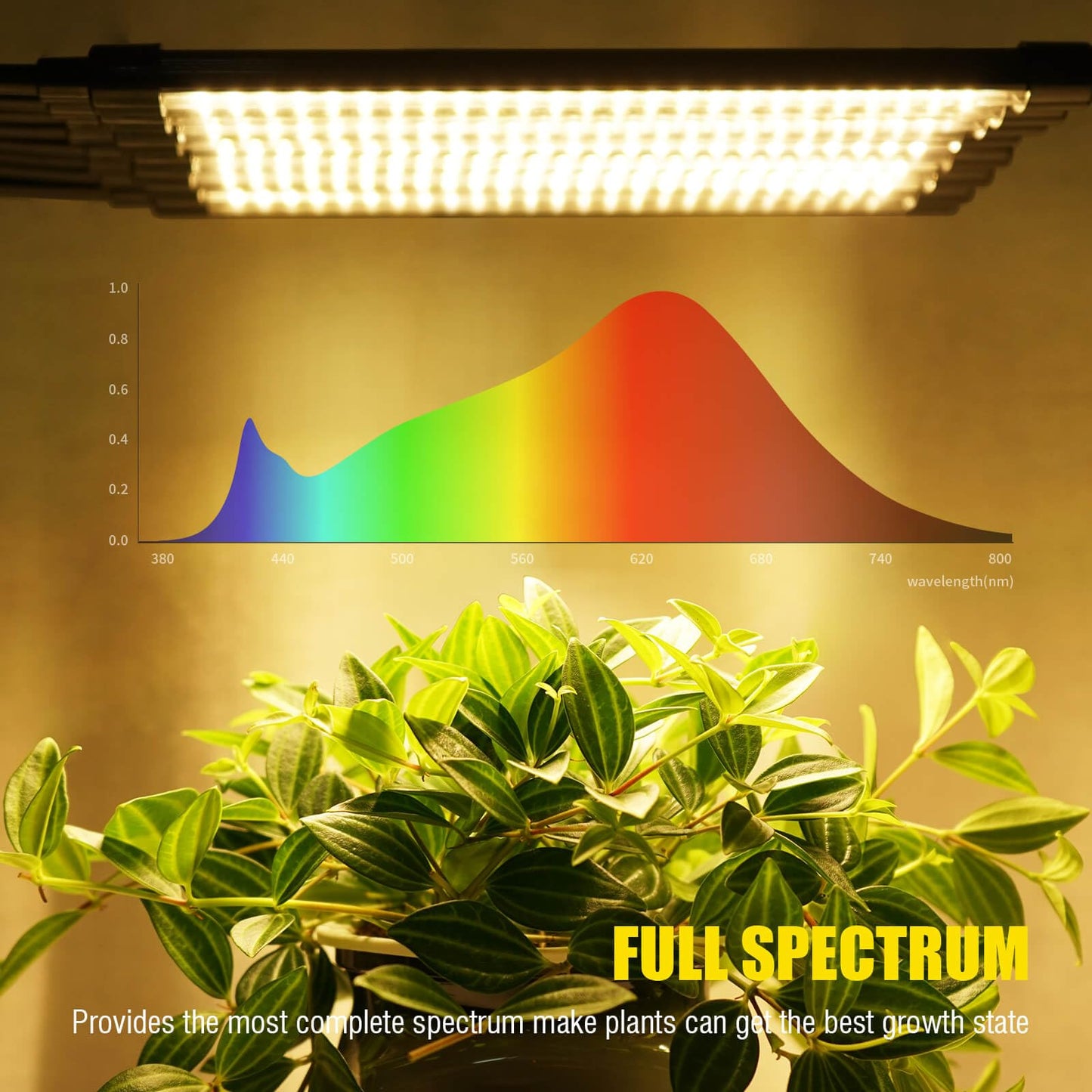 Grow Lights for Indoor Plants [ 10 in1 ] 500 LEDs, Full Spectrum Grow Light for Indoor Growing with Tripod Stand, Auto On/Off Timing 4/8/12H, Plant Grow Lights Indoor.
