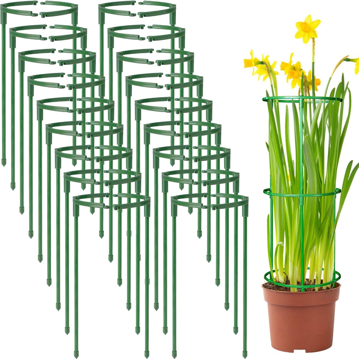 36Packs Plant Support Stake Half Round Plant Support for Indoor Plants, Stackable 3 Tier Garden Flower Support, Plant Rings for Tomato,Monstera, Peony, Hydrangea, Climbing Plants