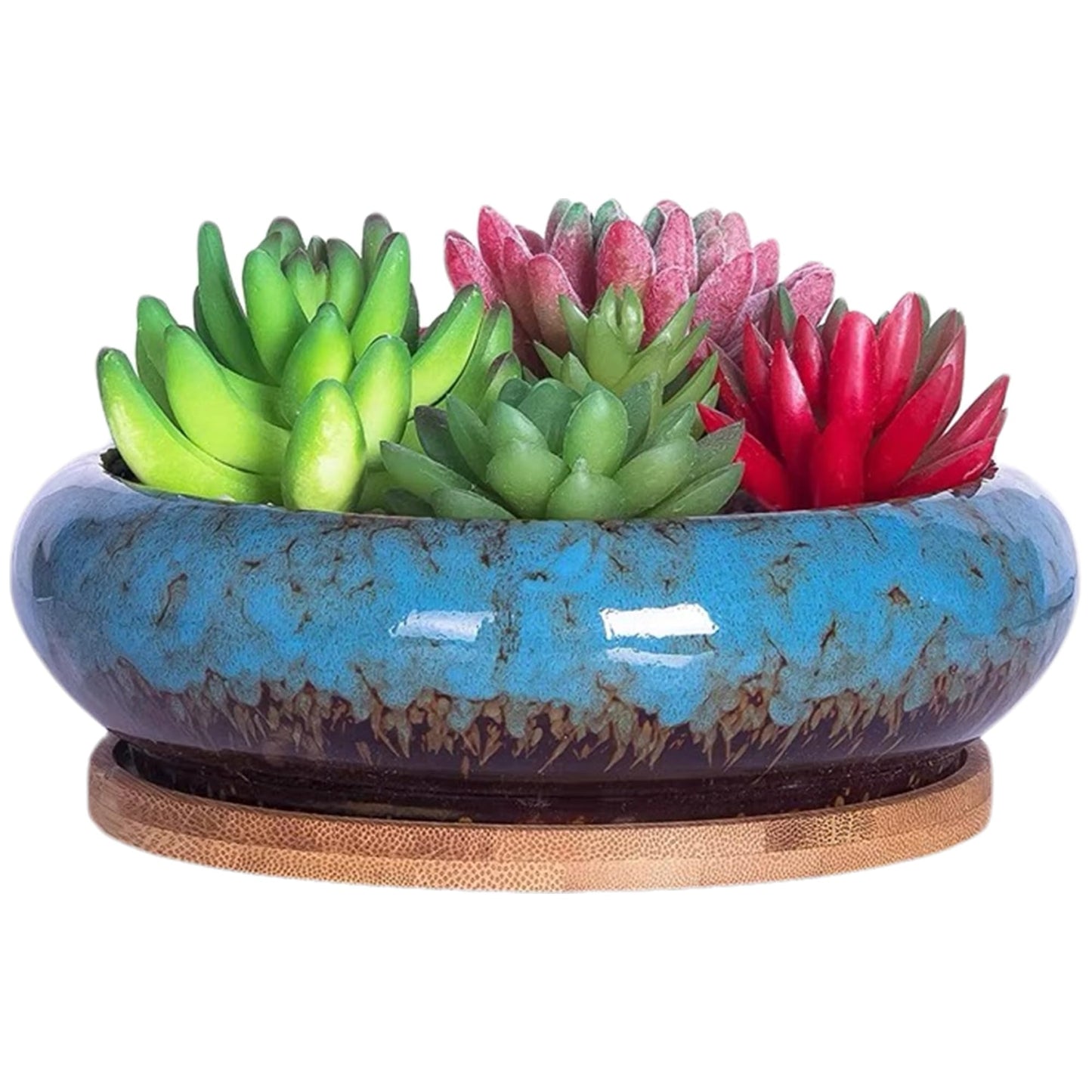 ABCISI Ceramic Succulent Pots: 7.3 inch Large Shallow Planter, Bonsai Pots Succulent Planters with Drainage Hole, Round Glazed Garden Decorative Cactus Flower Plant Container Bowl (White)