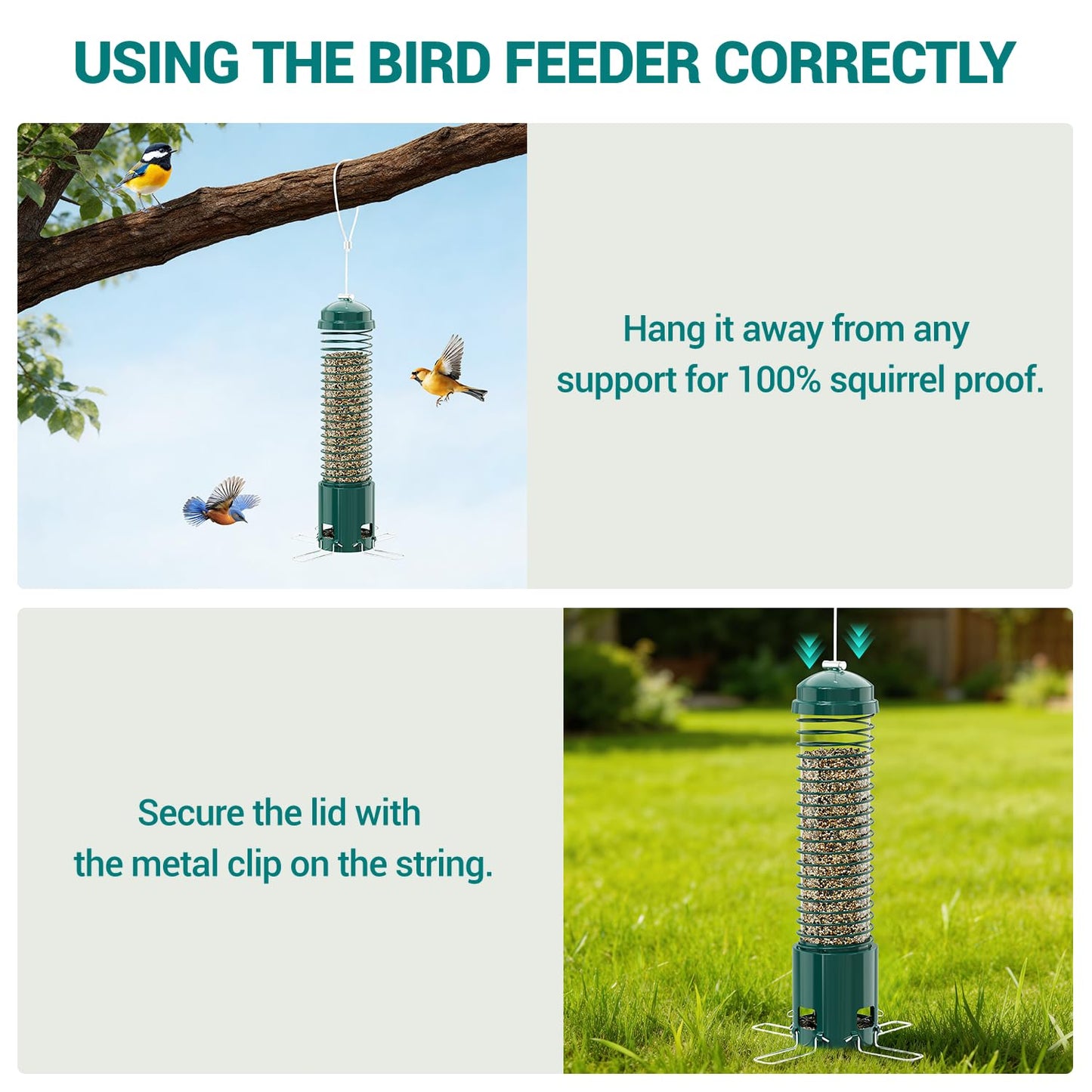 Squirrel Proof Bird Feeder, Metal Bird Feeders for Outdoors Hanging, 3.6LB Large Seeds Capacity for Wild Birds, Finch, Cardinal, Blue Jay, Chickadee, Green