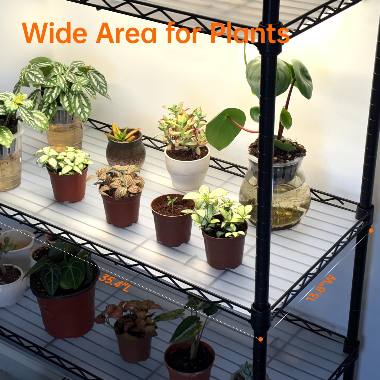 Bstrip Indoor Greenhouse with Grow Light, Mini Green House with 4 Pack T8 Full Spectrum Plant Lights with Timer, Indoor Greenhouse Cabinet for Indoor Plant, Seed Starting, Seed Tray, 29.5"x13.8"x59"
