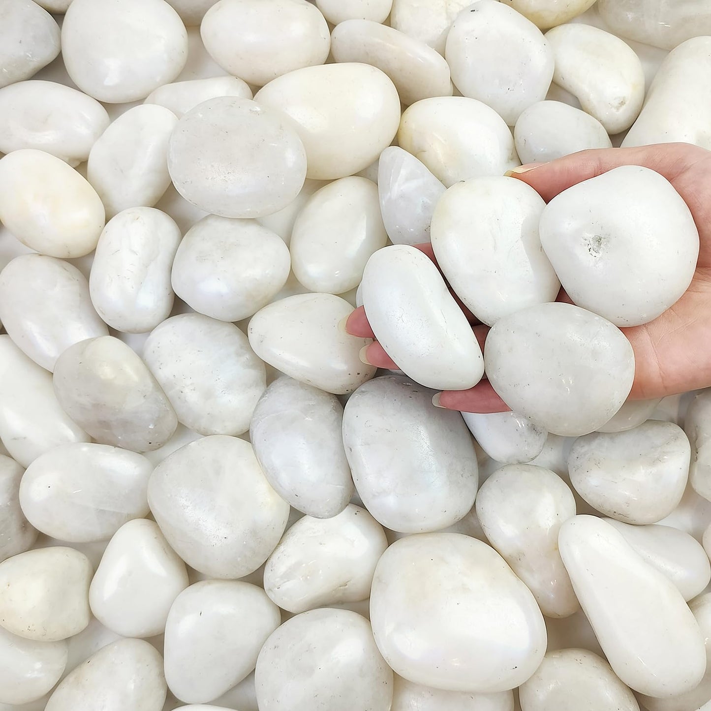 FANTIAN 5 lbs Large White River Rocks, 2-3 inch Pebbles for Indoor Plants, Polished Decorative Stones for Planters Vase Aquarium and Outdoor Garden Landscaping Rocks