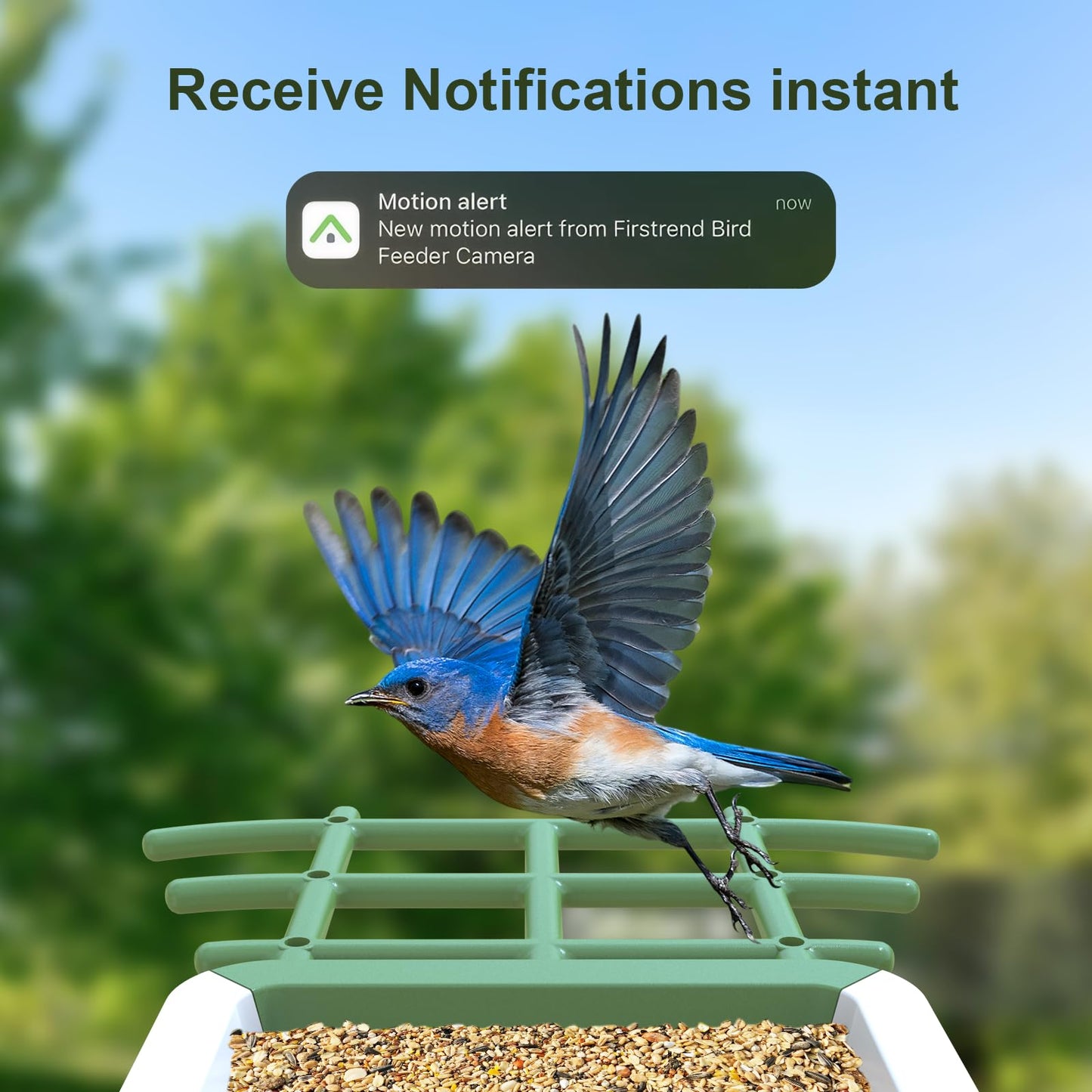 Smart Bird Feeder with Camera: Solar Powered Birdhouse with AI Recognition, Wireless Bird House with Camera for Outdoor, Unique Birthday Gifts for Mom Dad