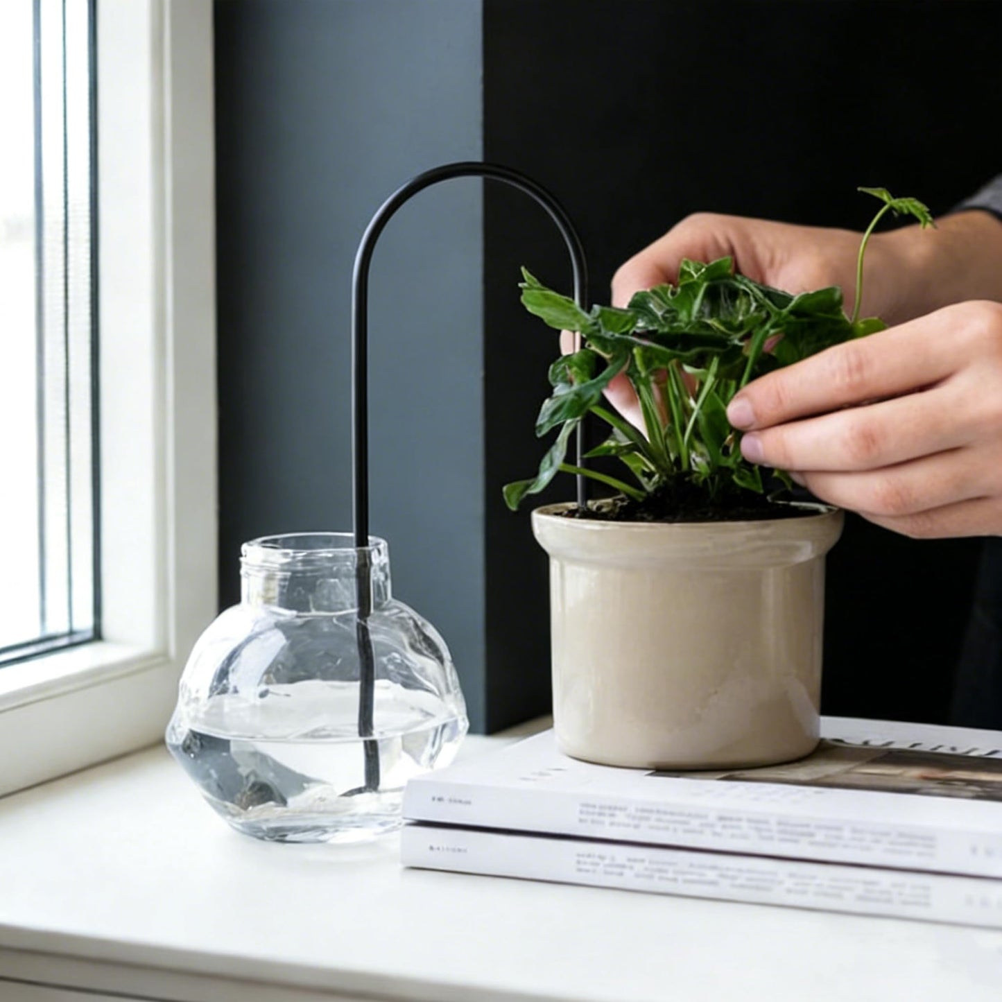 Self-Watering Plant Wick System,Stainless Steel and Cotton, U-Shaped, Automatic Drip Irrigation for House Plants,Black