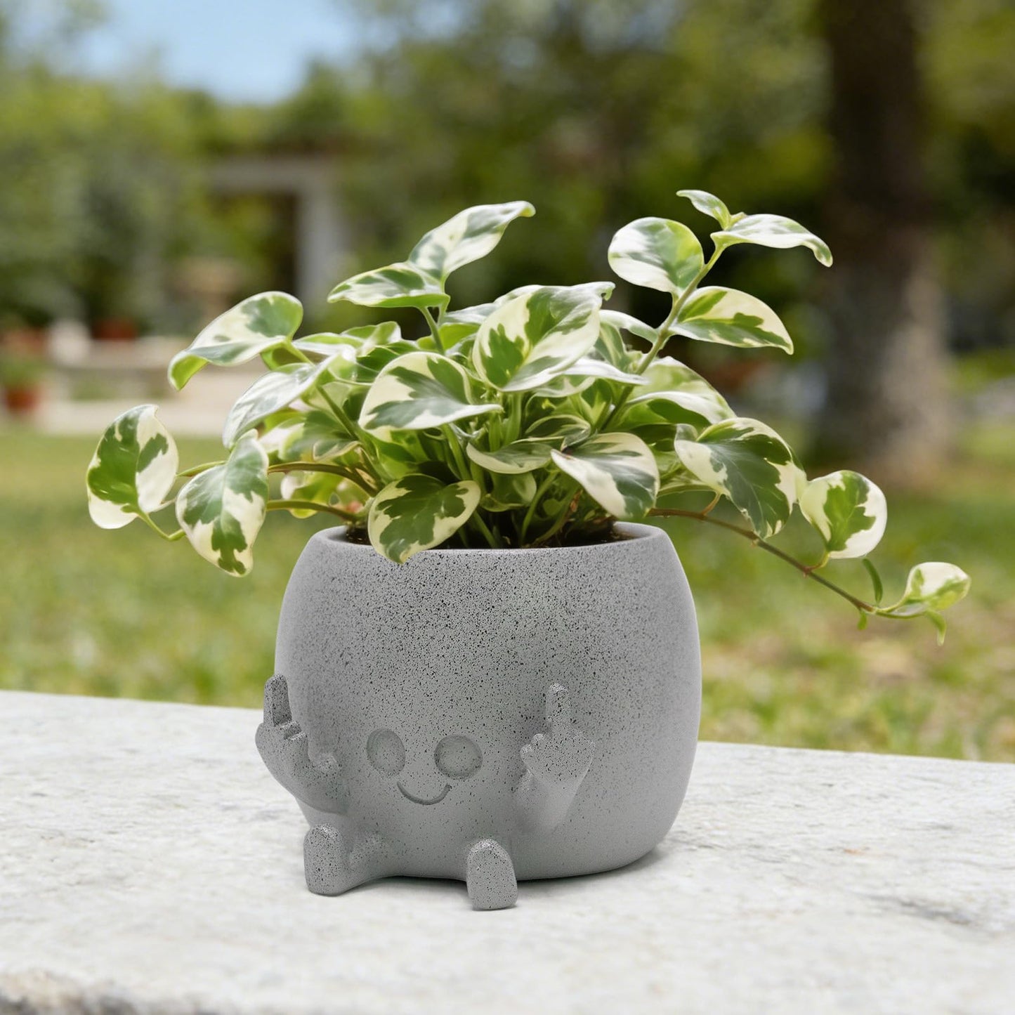 LAUGOKOBE Smily Face Planter Pot with Middle Fingers Up, Face Plant Pot Resin Flower Head Planters for Indoor Outdoor Plants Succulent Pots for String of Pearls Plant Live Gift Ideas for Christmas