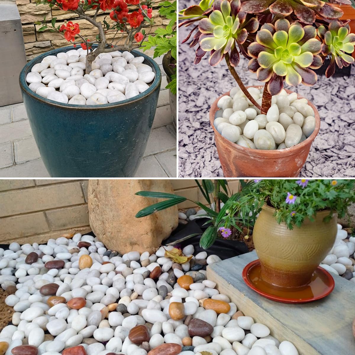 SHIZWU 5LB White River Rocks - 2-3 inch High Polished Decorative Pebbles, Stones for Landscaping, Natural River Rocks for Outdoor Décor, Plants,Vase Filler,Fish Tank