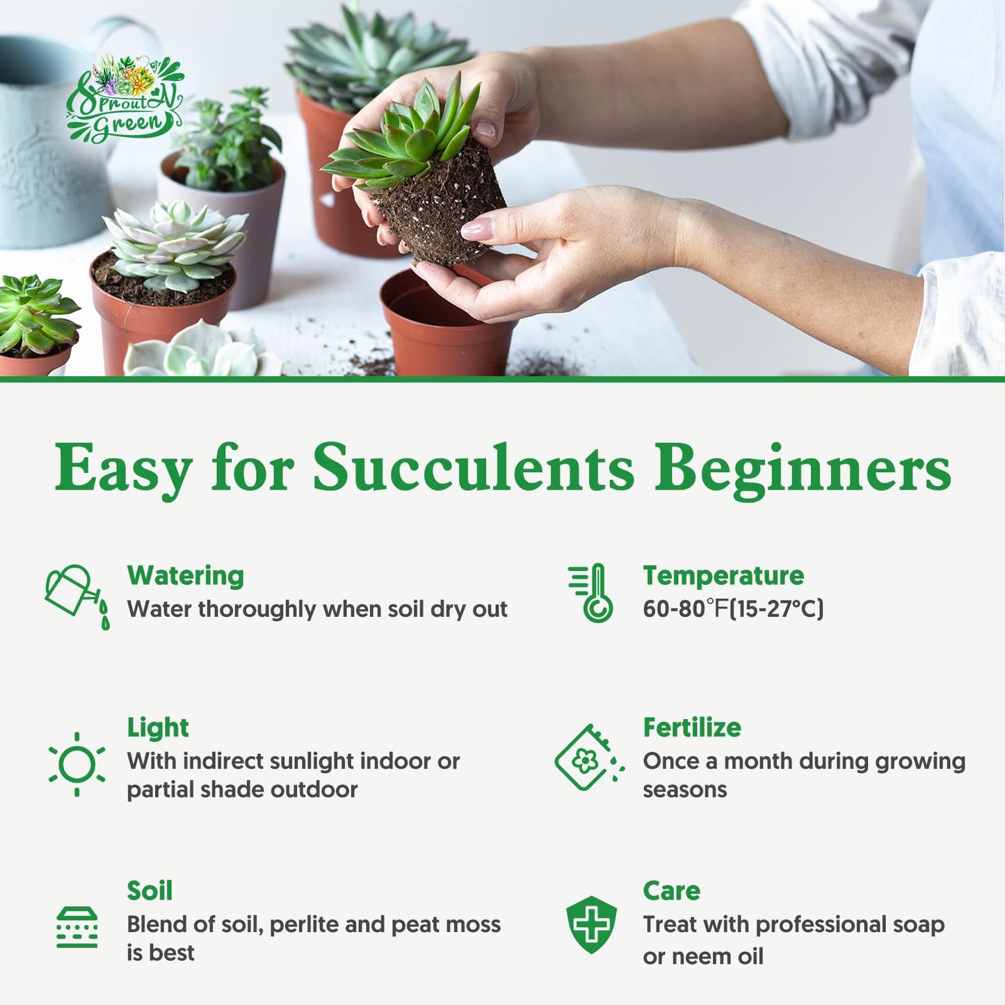 Sprout N Green Crassula pyramidalis Thumb, Rare Live Pagoda Mini Jade Succulent Plant Fully Rooted in 4" Planter with Soil, Home Office Indoor Outdoor Wedding Decoration DIY Projects Party