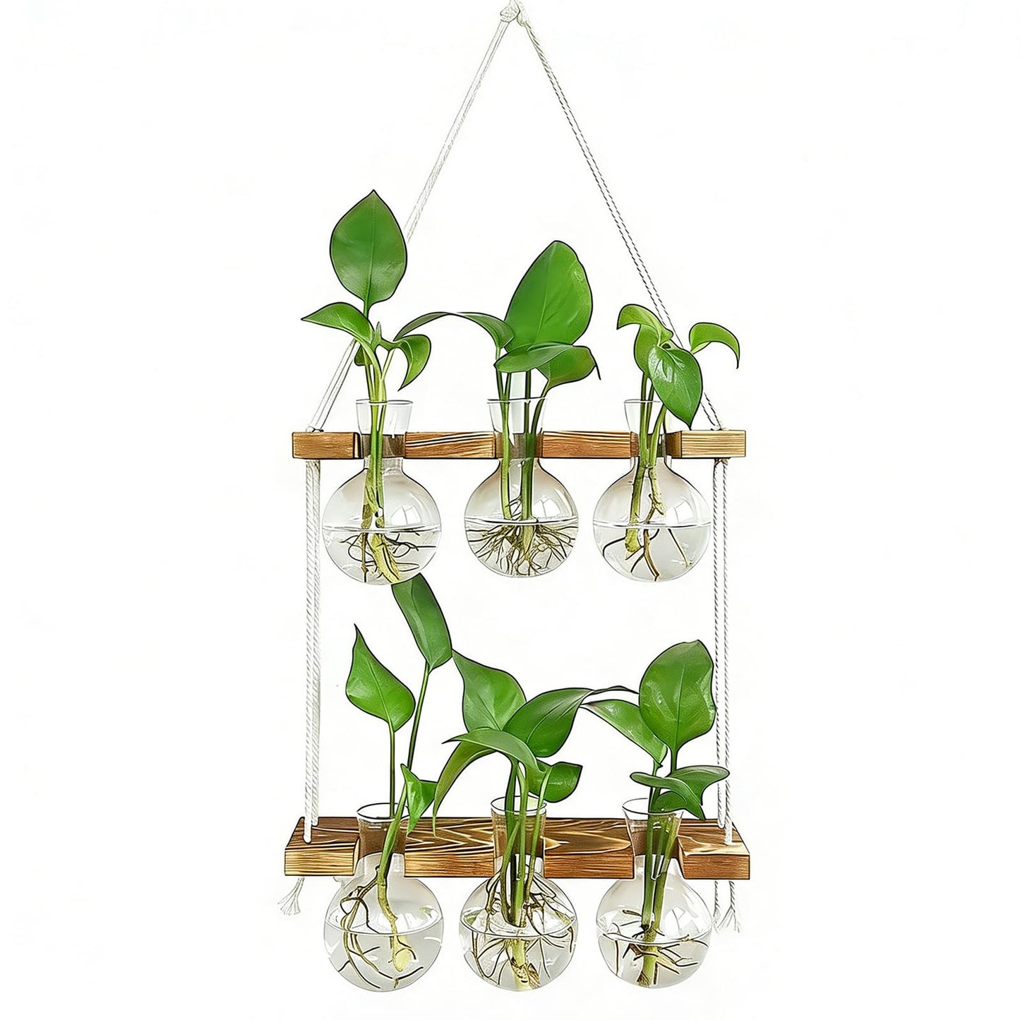 Renmxj Plant Propagation Station Wall Hanging, Plant Terrarium with 2 Tiered Wooden Stand for Hydroponics Plants, Unique Gardening Gifts for Women Mom Plants Lovers - 6 Bulb Glass Vases