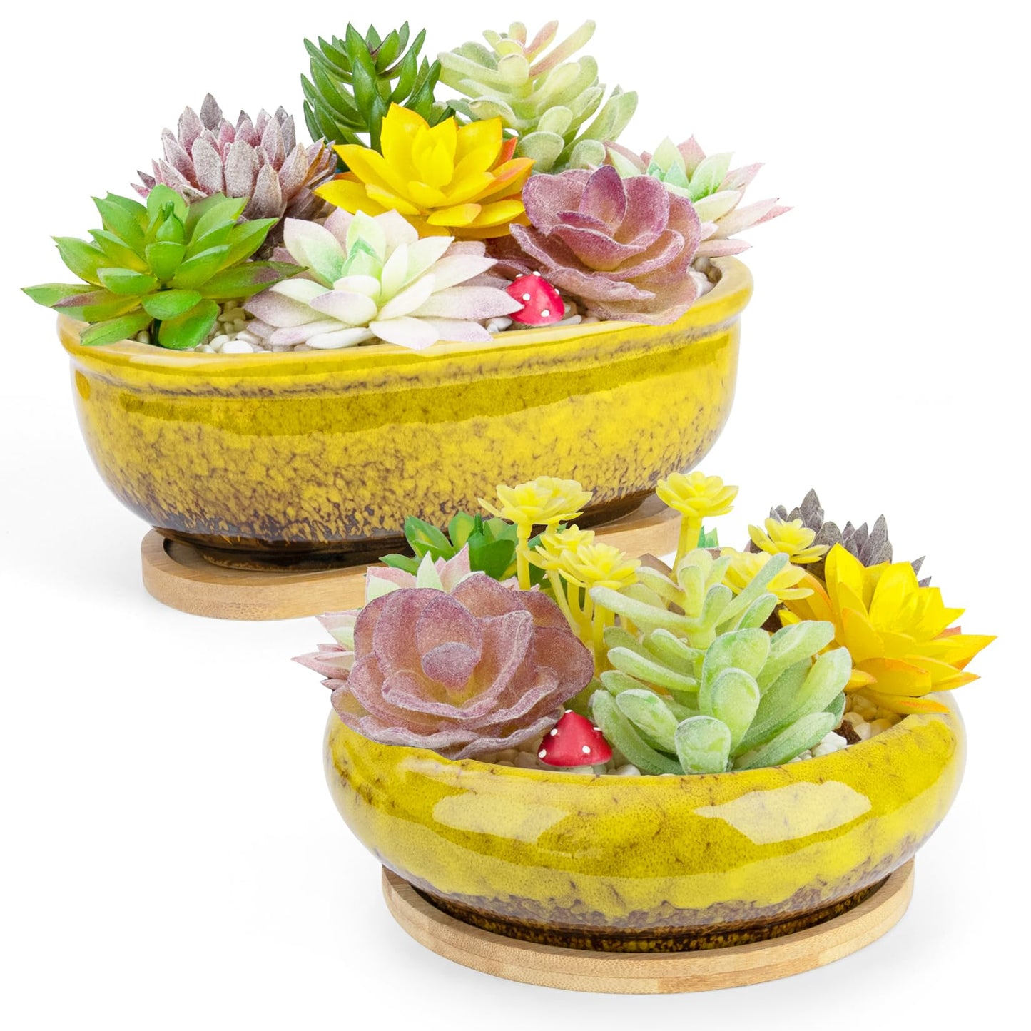 Succulent Pots, 1 Rectangle Planter + 1 Ceramic Bonsai Pot with Drain Tray, 2 Pack Large Shallow Succulent Planters for Indoor Plants, Round Cactus Flower Plant Pot for Desk Windowsill Decor