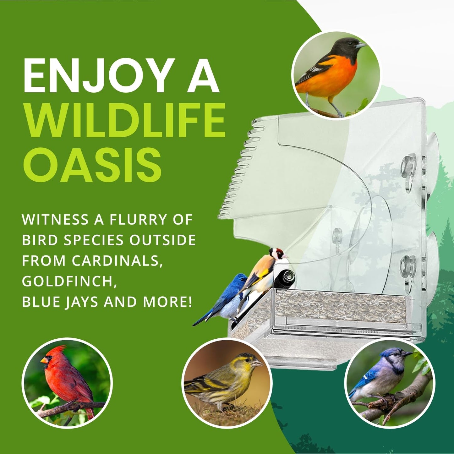 Nature Gear Acrylic Clear Window Bird Feeder with Strong Suction Cups, Removable Sliding Seed Tray, Weather-Resistant & Easy to Clean for Window Viewing, Extended