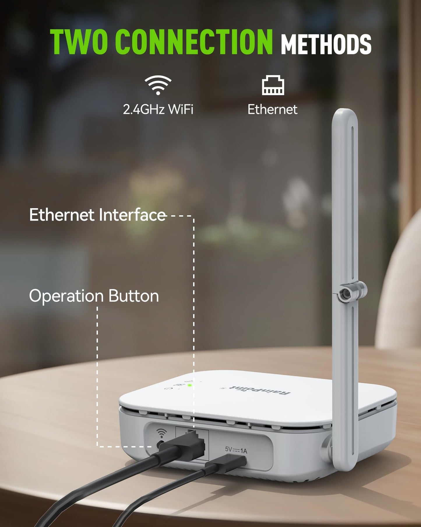 RAINPOINT Ethernet Gateway for WiFi Water Timer, Sprinkler Controller, Smart Hose Timer Valve, Drip Irrigation for Garden, Lawn, and Yard (Support WiFi & Ethernet Connection)