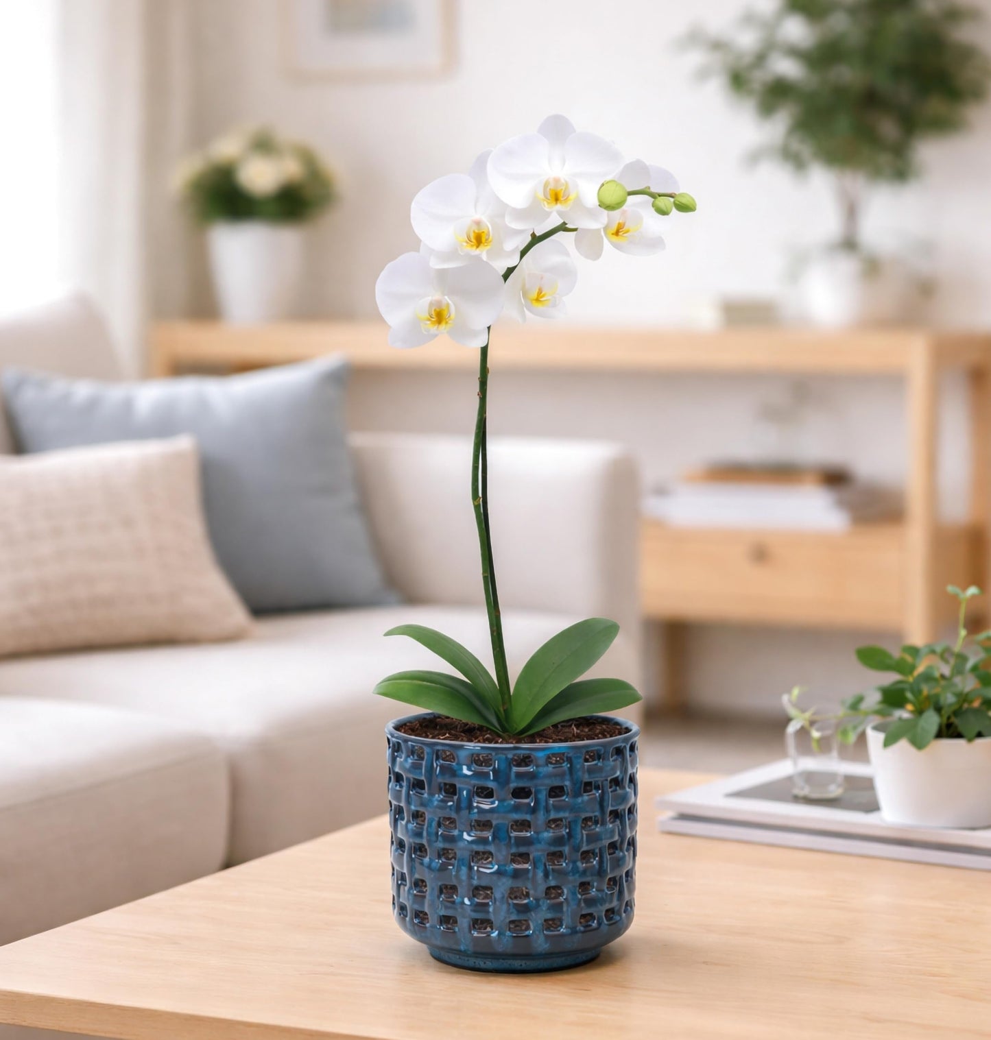 D'vine Dev 4.5 Inch Ceramic Orchid Planter with Lattice Cutout Design, Glazed Cachepot with Clear Nursery Pot & Detachable Saucer for Orchids and Indoor Plants, Midnight Blue, 28-A-Z-2
