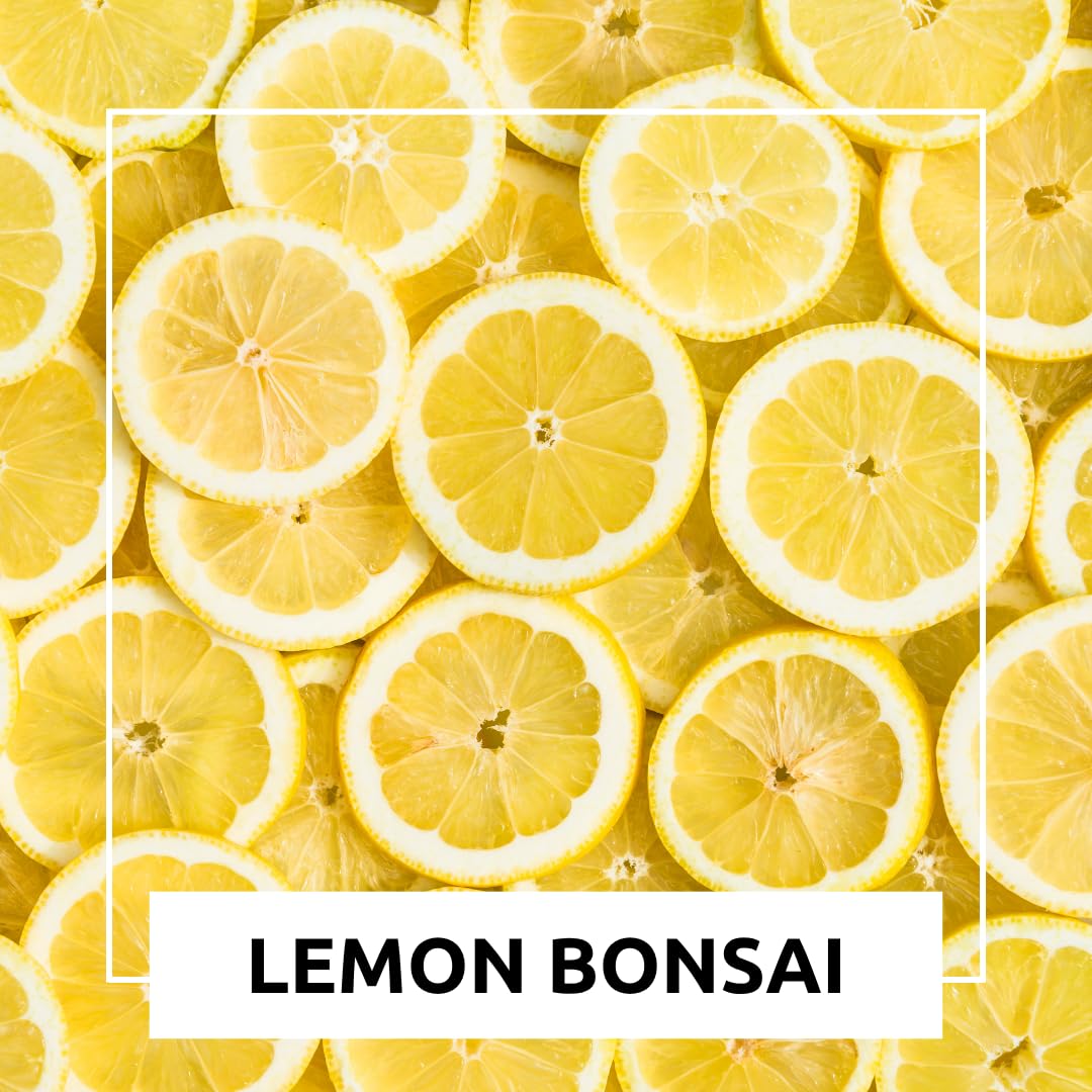 Dwarf Lemon Bonsai Tree Seeds, 20 Seeds, Grow a Delicious Fruit Bearing Bonsai Tree, Great for Home Gardening