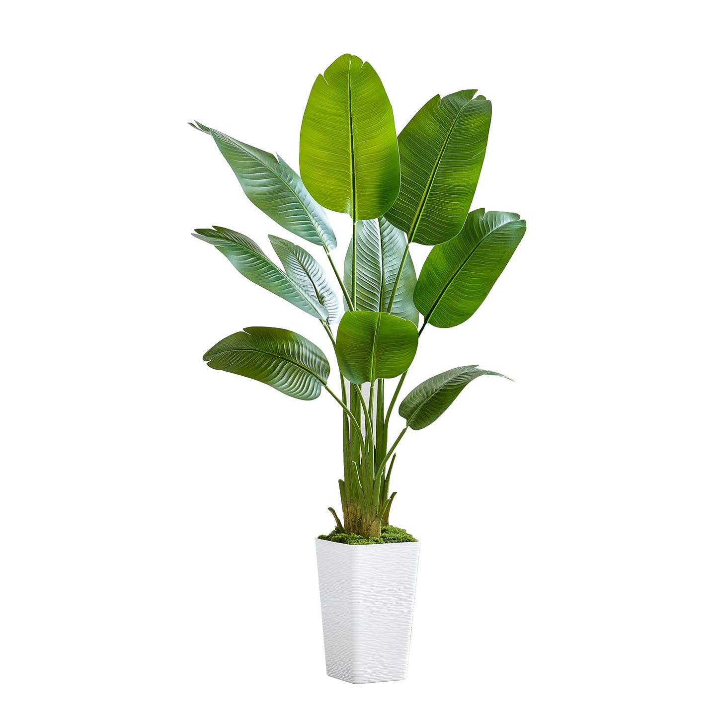 Bird of Paradise Artificial Plant, 5FT Faux Plants Indoor Banana Leaf Tree with 9 Leaves, Large Fake Tropical Potted Indoor Silk Floor Plant with White Tall Planter for House,Office,Room,Home Decor