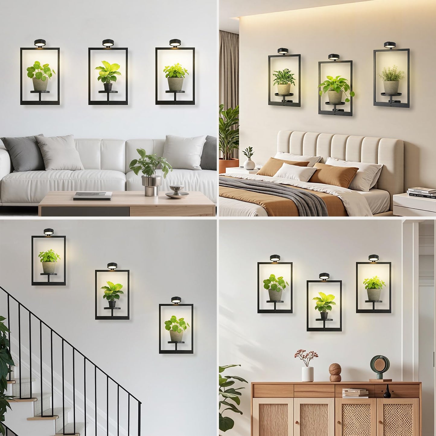 Wall Planters for Indoor Plants，Wall Plant Holder with ‌Remote-Controlled Lights，Hanging Planters for Indoor Plants Window Plant Shelves 3 Pack Plant Hanger for Living Room Entryway（Bulbs Included）