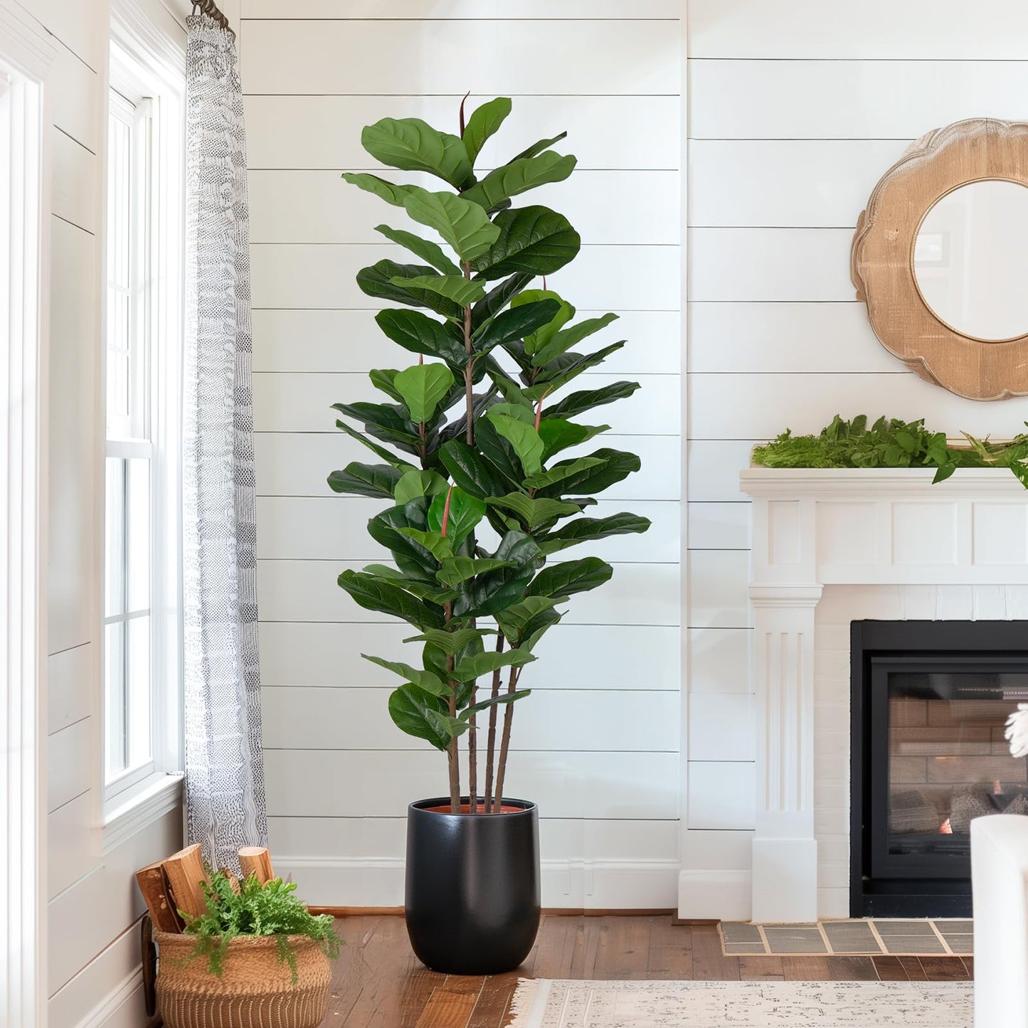 Yepdin 2 Pack Fiddle Leaf Fig Tree - Artificial Ficus Tree with Tall Artificial Plants Large 69 Fiddle Leaves -Fake Trees for Indoor Outdoor Home Decor Living Room