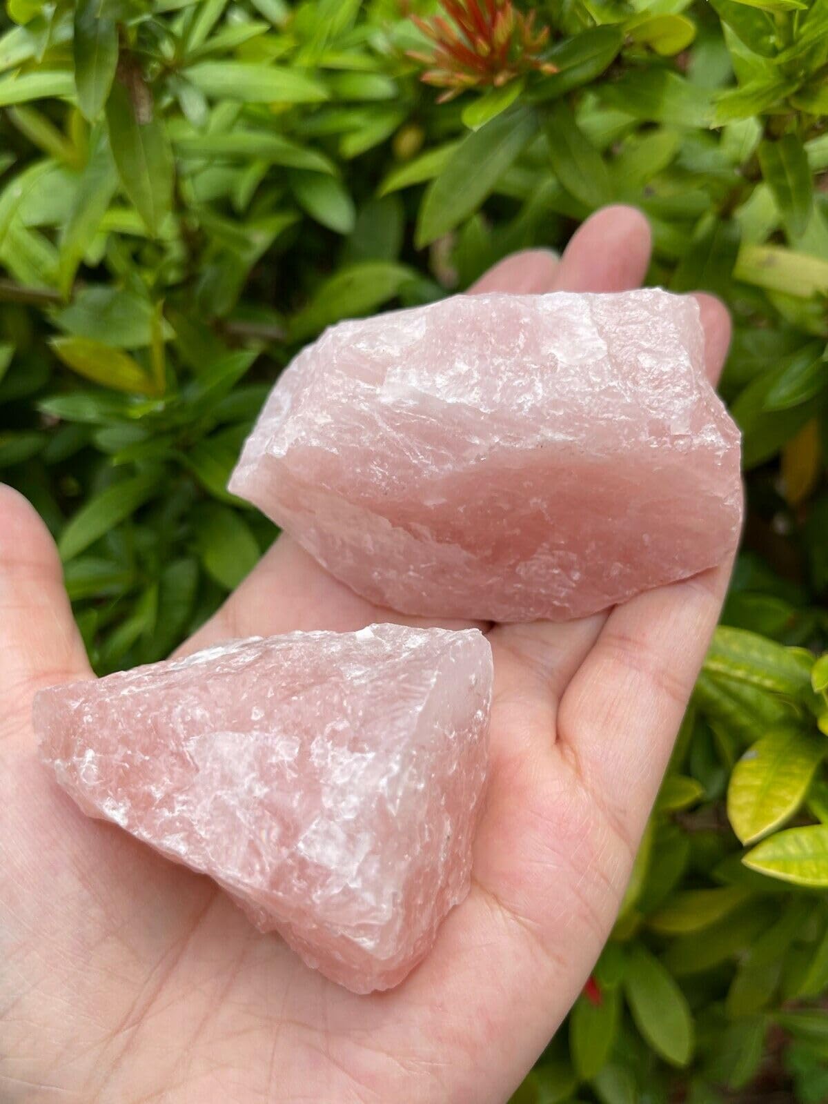 GAF TREASURES XL Raw Rose Quartz, 3-4" Natural Rose Quartz Stone, Rough Rose Quartz, Healing Rough Crystal (Rose Quartz, 0.5-1 lb)