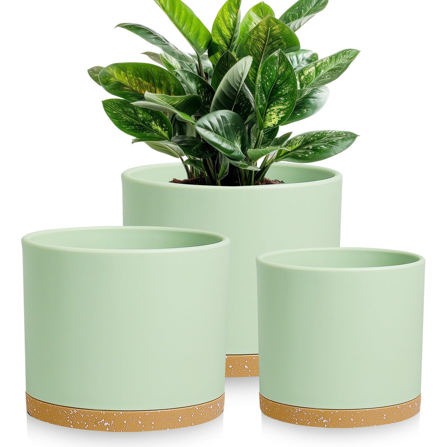 DGJDLWHX Large Plant Pots Set of 3 – 8", 9", 10" Indoor Flower Pots with Drainage Holes and Saucers, Big Planters for Monstera, Fiddle Leaf Fig, Snake Plant – 5 Colors