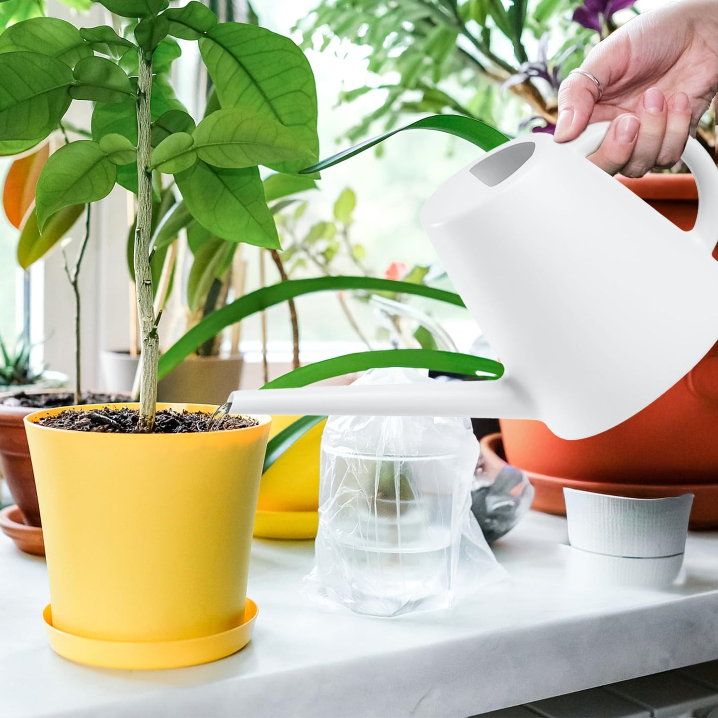 TEIUKAX Indoor and Outdoor Watering Can - Long Spout -1/2 Gallon (64oz) - White