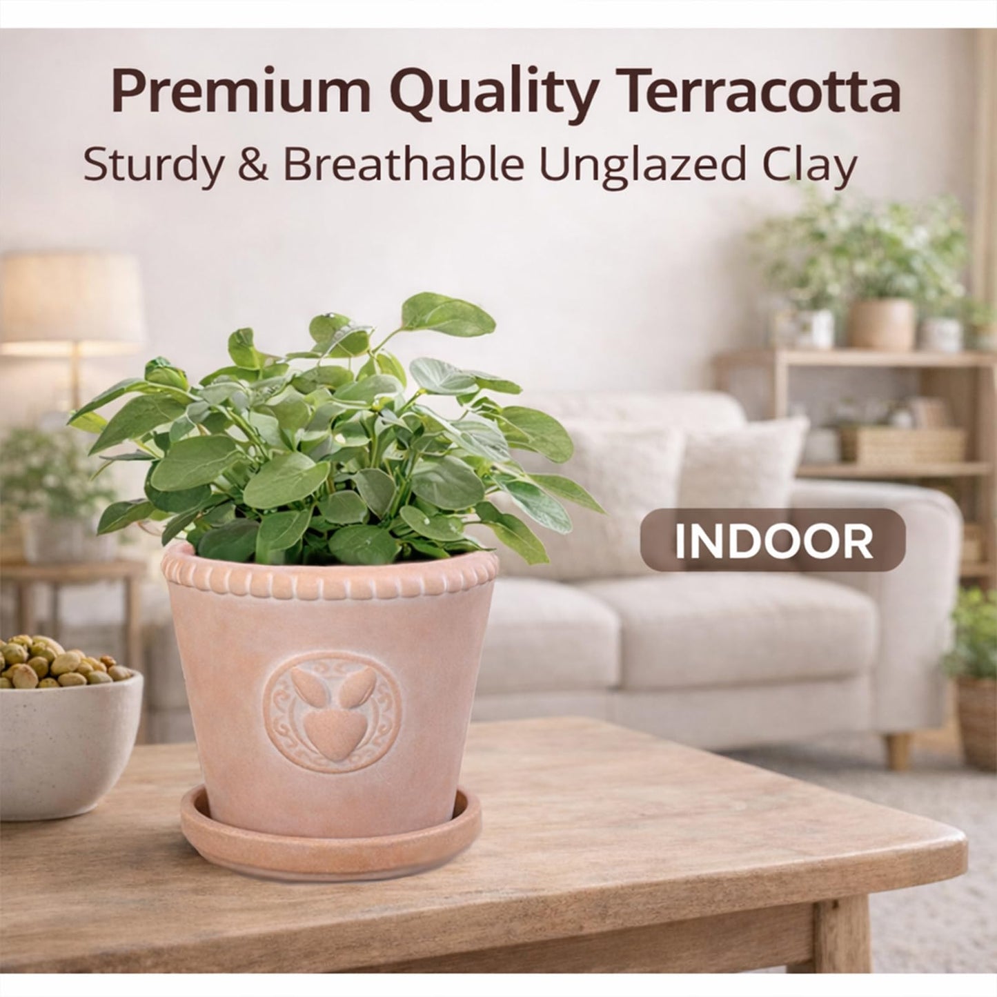FREEMOON Color-Changing Terracotta Plant Pot with Saucer, Natural Clay Planter with Drainage Hole, Visual Watering Reminder (All-Natural), Retro Rabbit Head Pattern for Indoor/Outdoor Plants, 6 Inch