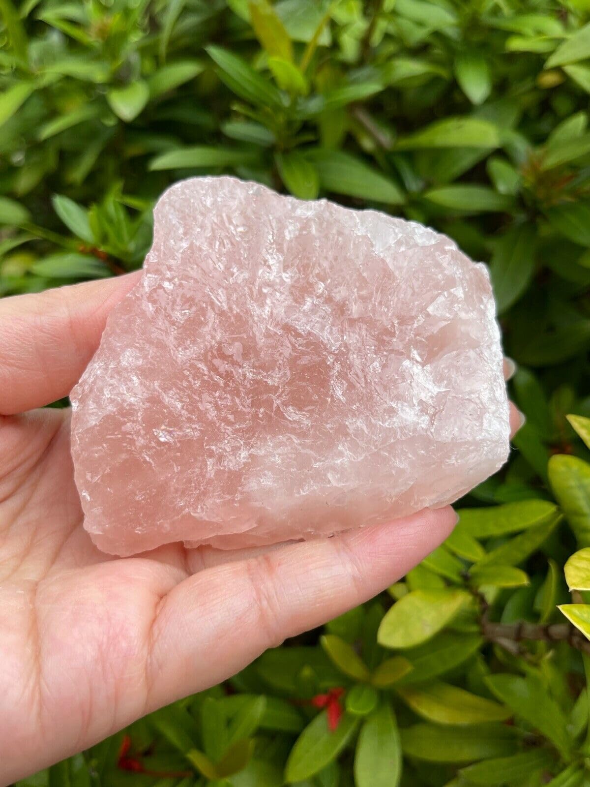 GAF TREASURES XL Raw Rose Quartz, 3-4" Natural Rose Quartz Stone, Rough Rose Quartz, Healing Rough Crystal (Rose Quartz, 0.5-1 lb)