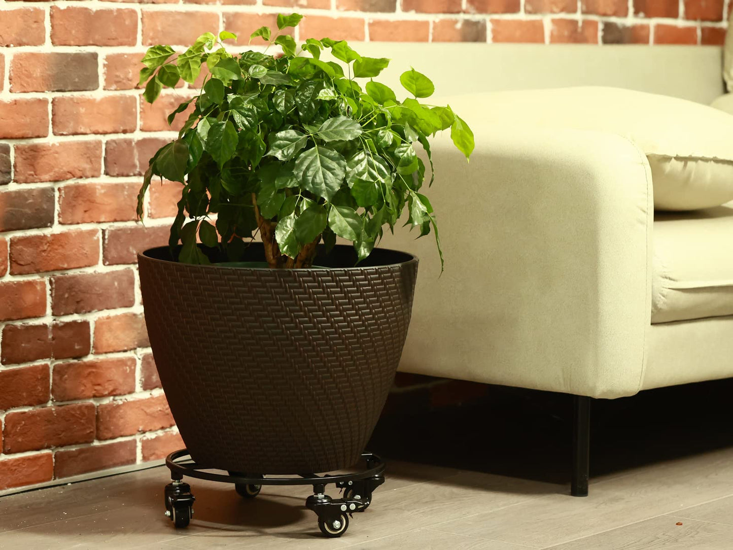 KvyusFlourish 3 Packs Large Metal Plant Caddy with Wheels 13.6" Rolling Plant Stands Heavy-Duty Wrought Iron Plant Dolly Plant Rollers Planter Mover with Casters