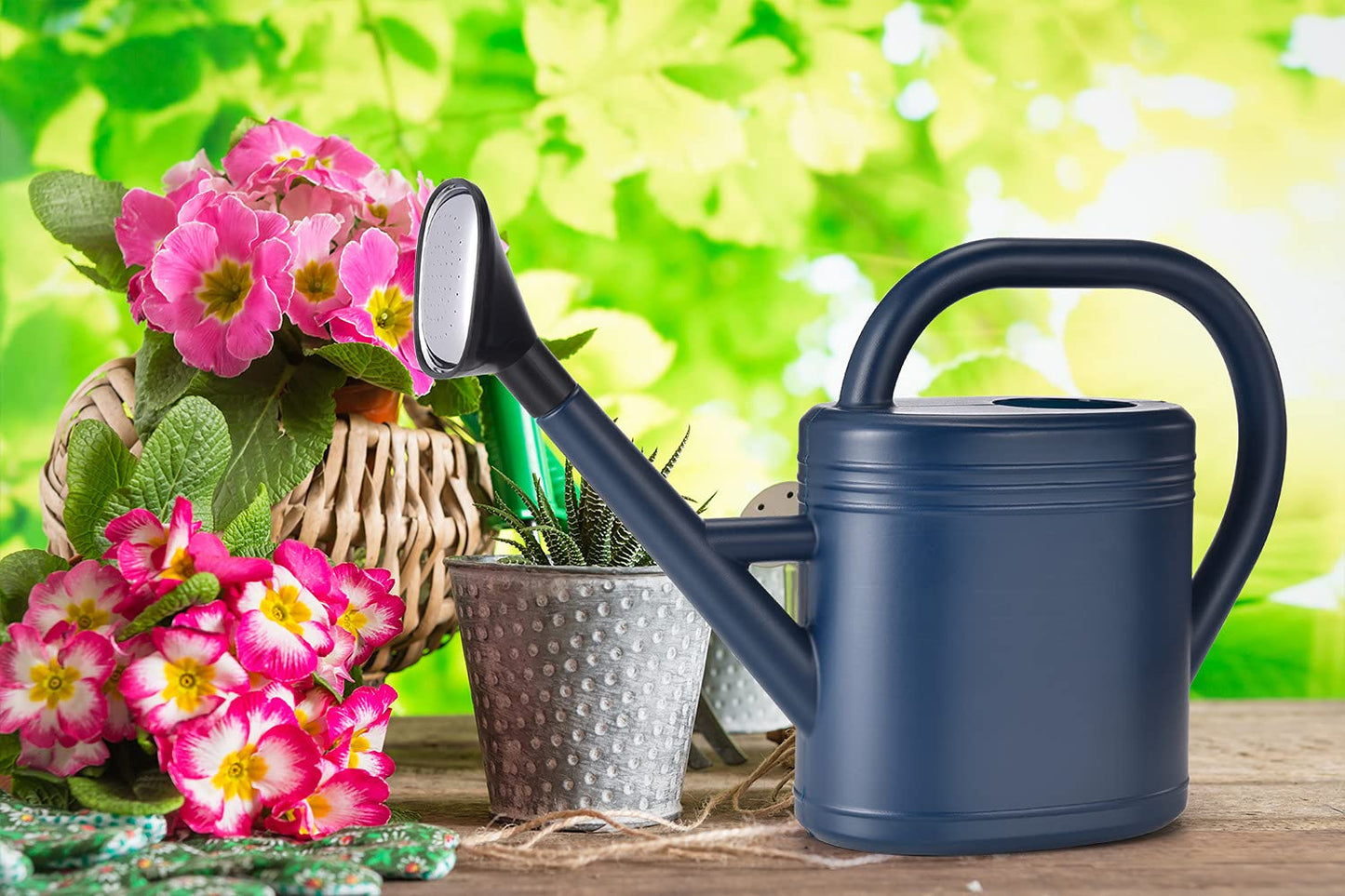 Watering Can 1 Gallon for Garden, Indoor Plants, Outdoor Plant House Flower, Large Long Spout with Sprinkler Head (Grey)