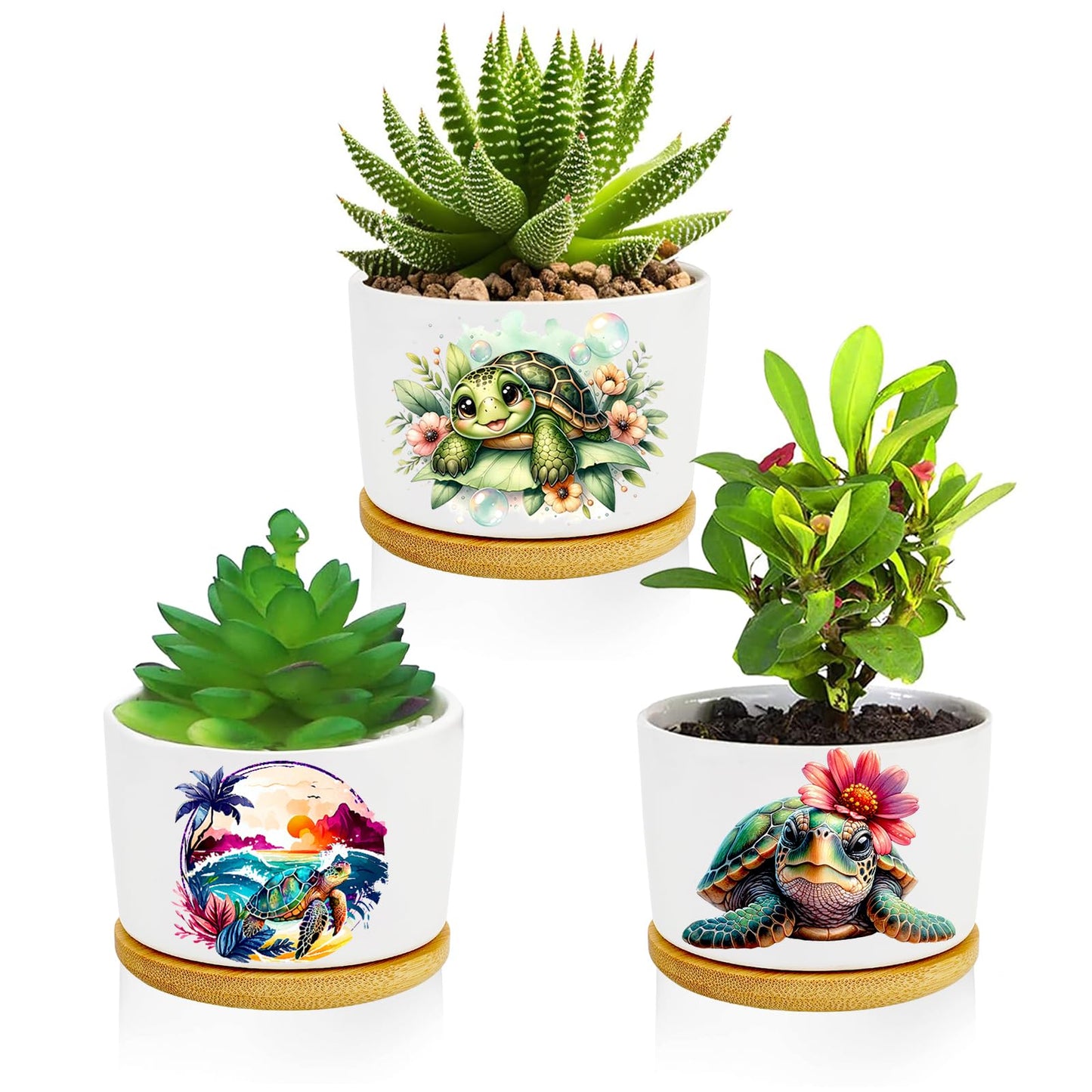Databa Turtle Succulent Pots 3 Pack, 3 Inch Succulent Planters with Drainage and Bamboo Tray, Turtle Gifts for Women, Ceramic Small Pots for Baby Plants, Cactus, Herbs- Plants Not Included