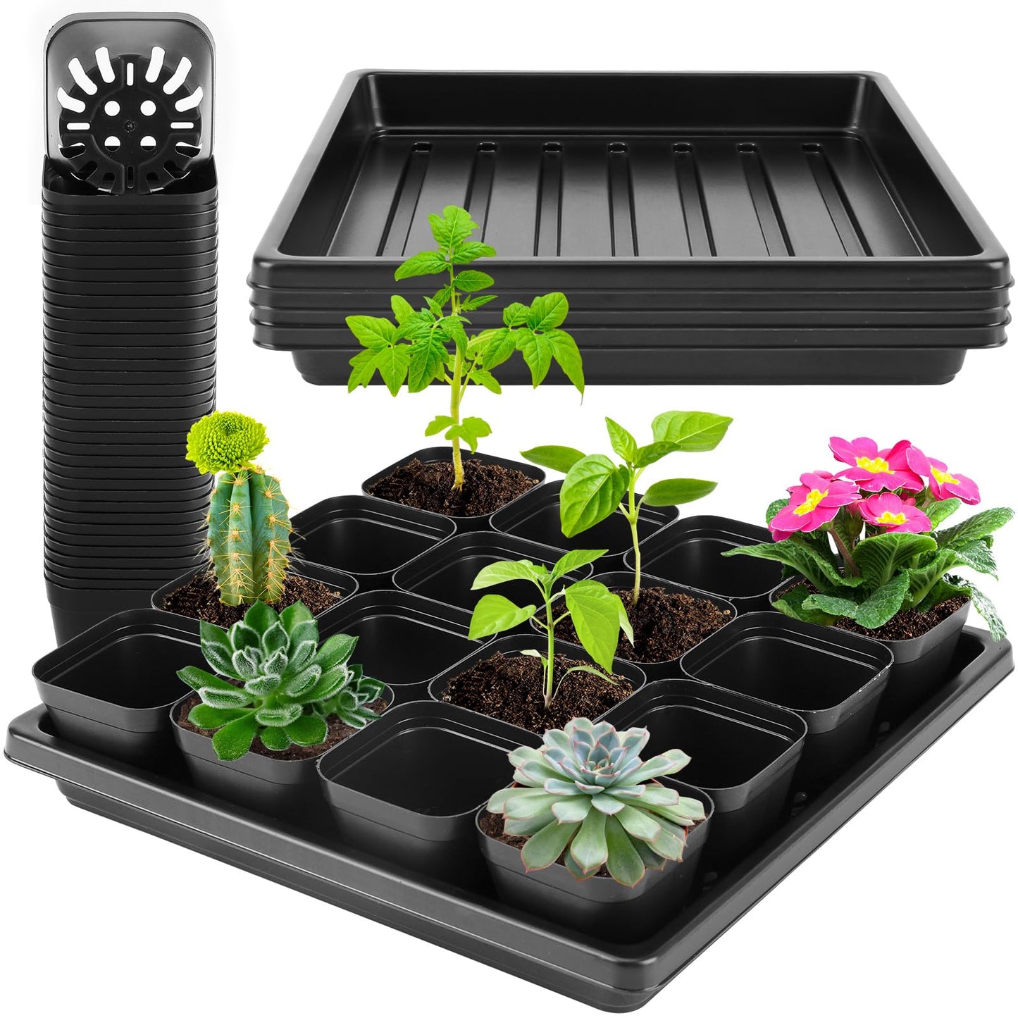 warmfarm Thick Seedling Trays 3 Pics with 50 Pics Easy-to-Remove Nursery Pots, Durable Trays for Seed Starting, Propagation, and Microgreens