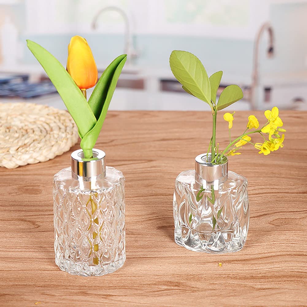 Mini Clear Glass Vase,Small Flower Bud Vase Hydroponics Planter Decorative for Flower,Table,Party,Home,Centerpieces(Clear 6)